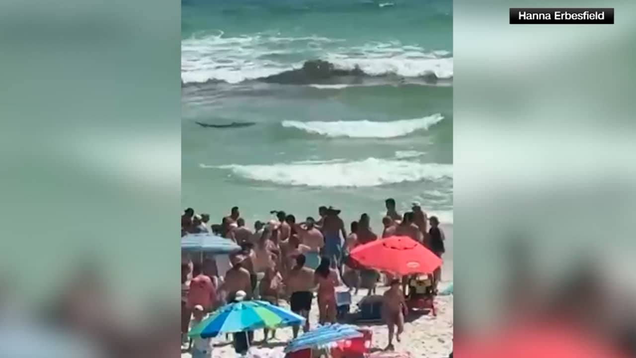 فيديو يظهر لحظة هجوم قرش على فتيات يسبحن قرب شاطىء في فلوريدا