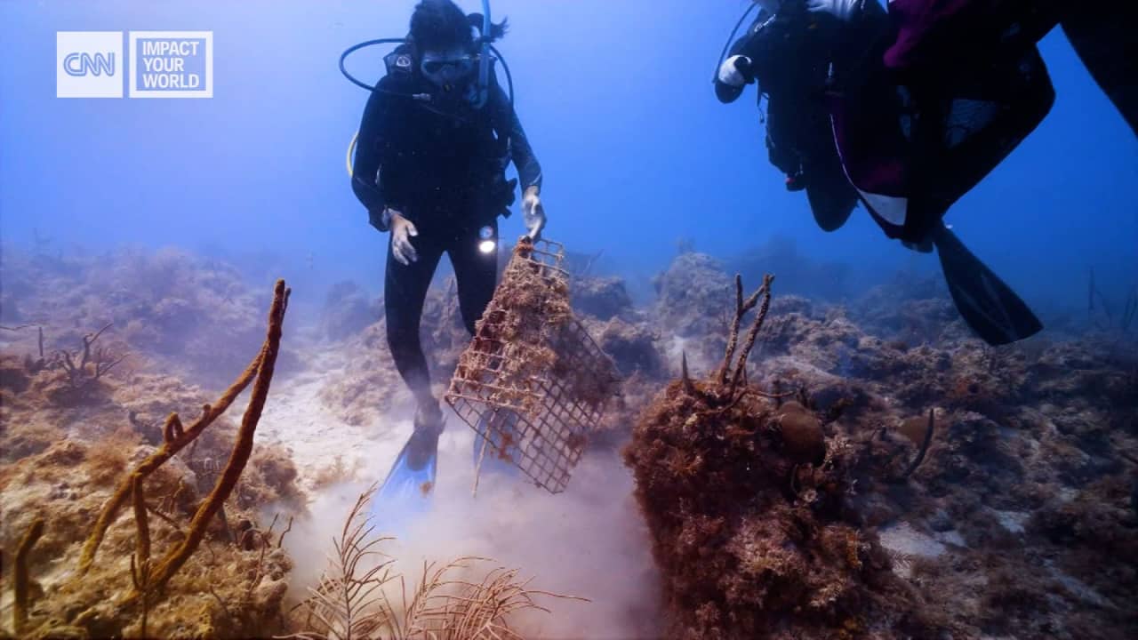 مشهد صادم يظهر ما عثر عليه غواصون في قاع المحيط