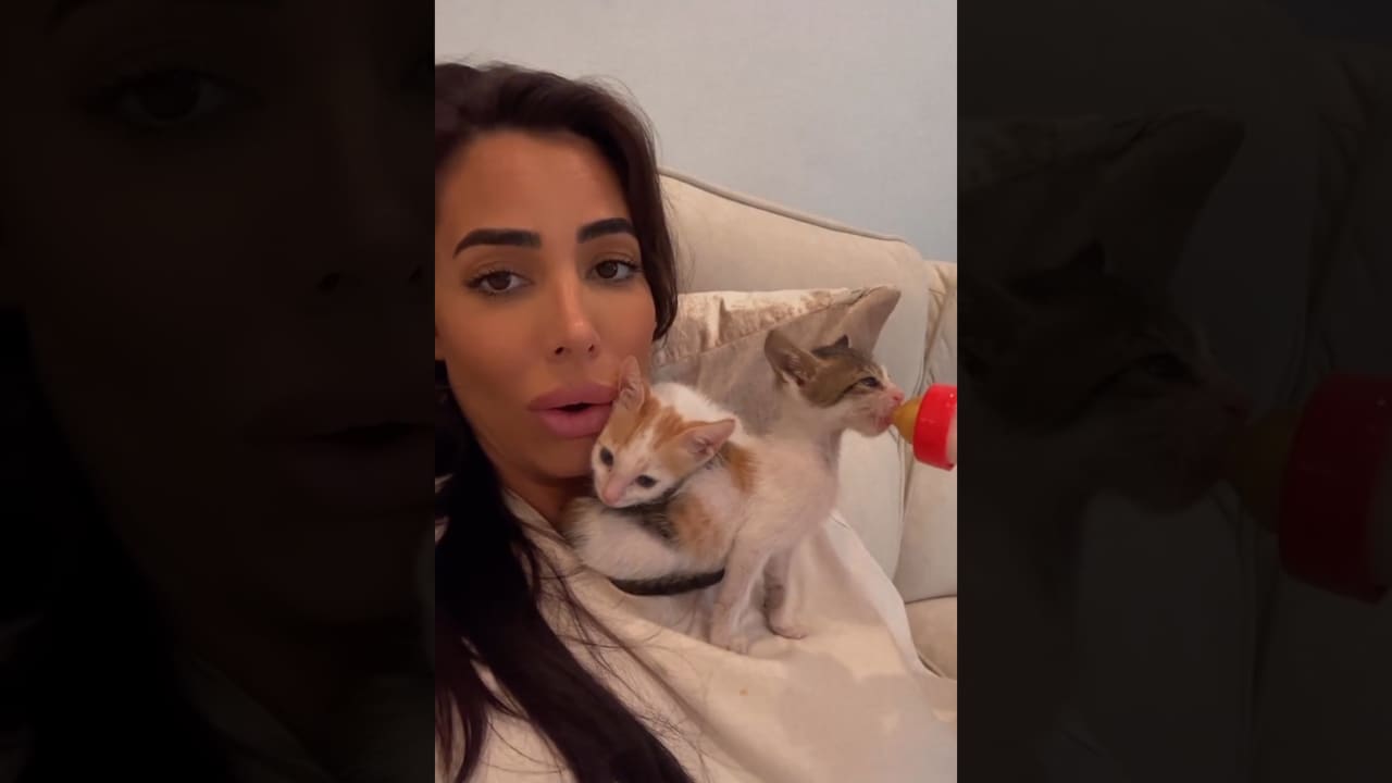 فلسطينية تكرّس جهدها لإنقاذ قطط الشوارع في دبي