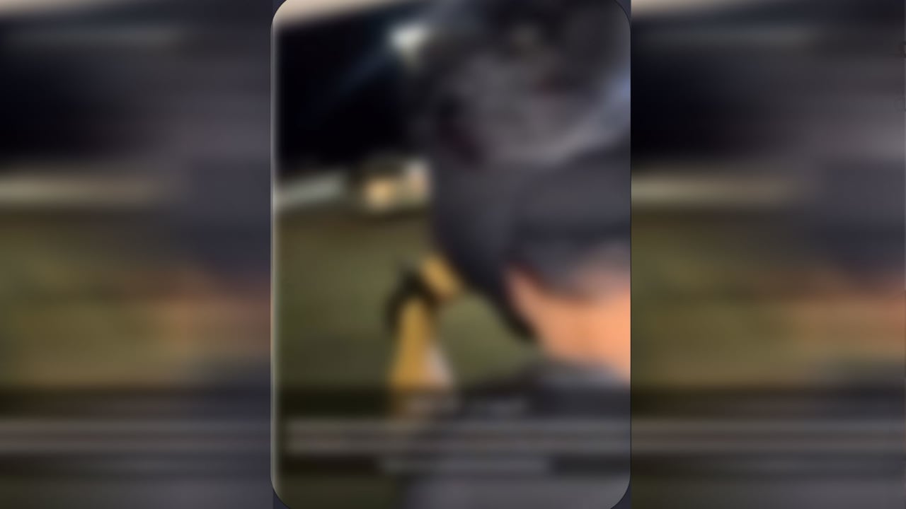 السعودية.. فيديو شخص يطلق النار على سيارة بجانبه يثير تفاعلا والداخلية ترد