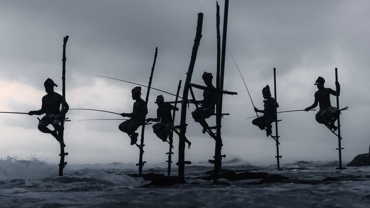 أغرب طريقة صيد على الإطلاق.. إماراتي يوثق صيادي السمك في سريلانكا 