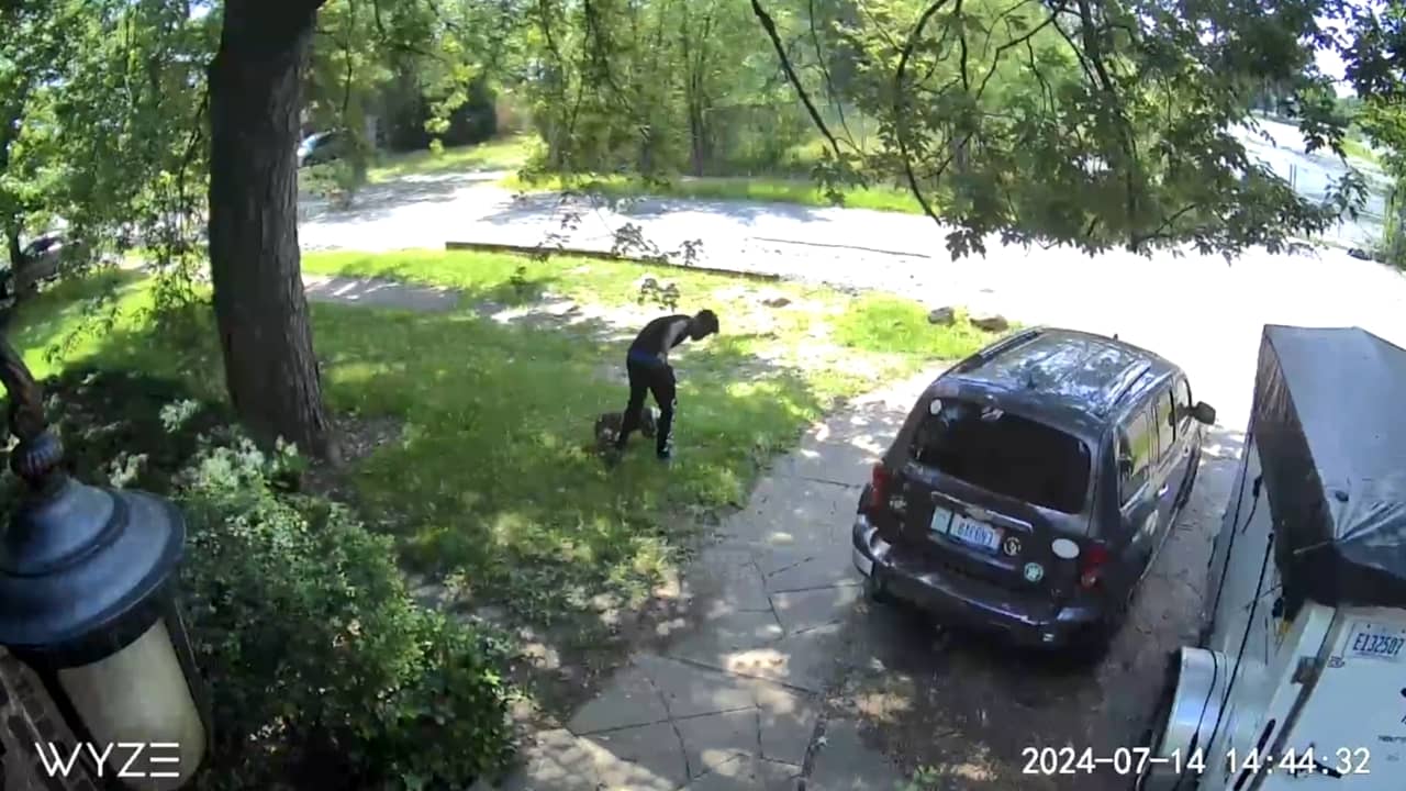 شاهد كيف سرق لصوص كلبًا من أمام منزل مالكته في وضح النهار