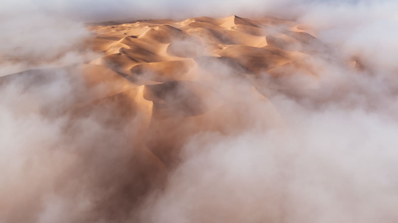 في صحراء ليوا بأبوظبي.. جعل هذا المشهد الحالِم مصورًا "يقفز من الفرحة"