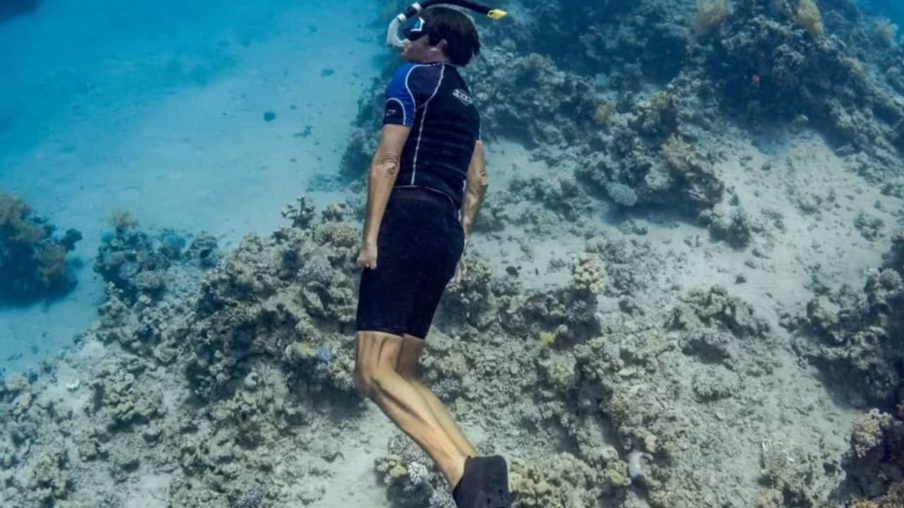 تمساح يسحق ذراع غواص..لماذا أًصر على العودة إلى المحيط من جديد بيد مبتورة؟
