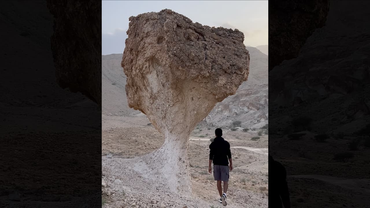 فطريات عملاقة "تنبت" في قلب الصحراء العُمانية.. ما سرّها؟