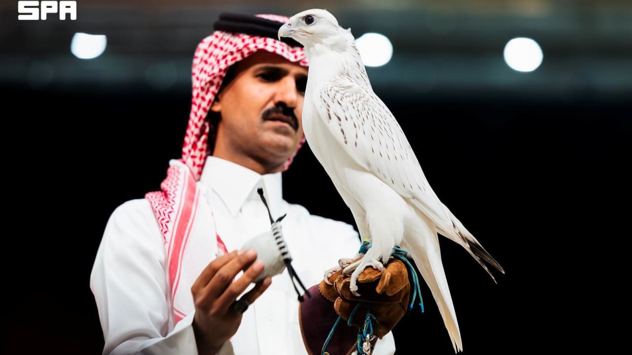 مزاد سعودي يبيع ثاني أغلى صقر في تاريخه مقابل 1.3 مليون ريال