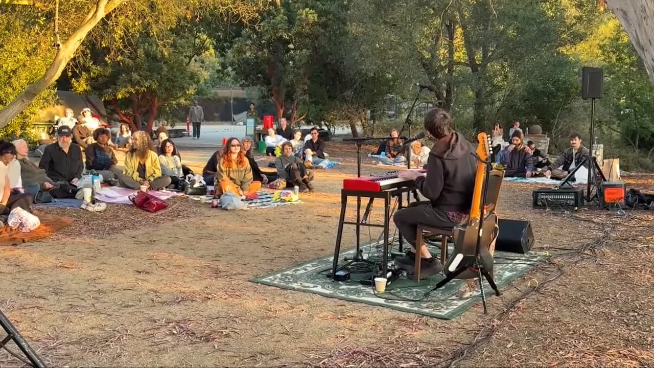 تحت ضوء القمر.. نزهات في الطبيعة بهدف حمايتها في كاليفورنيا