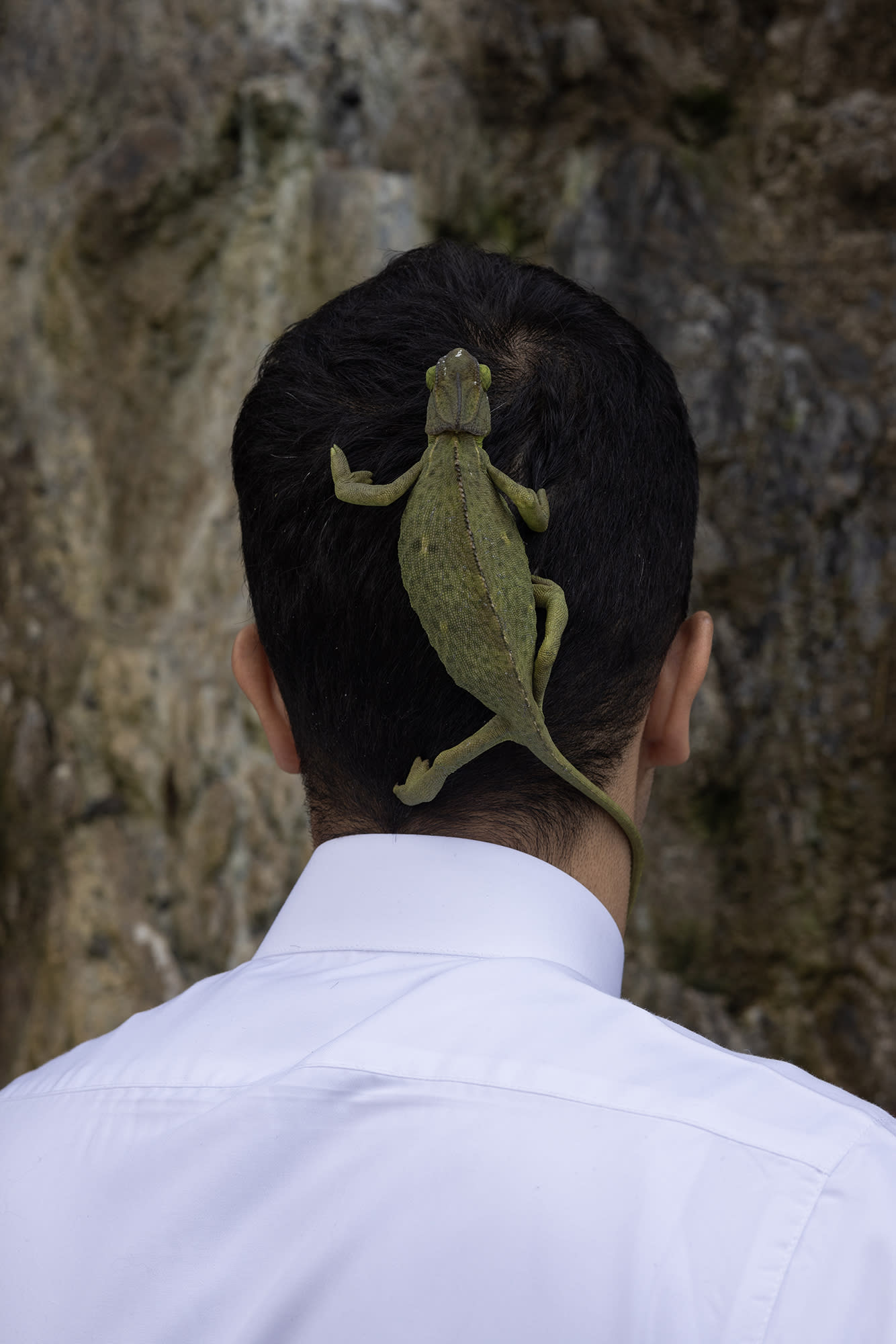 صور من السعودية توثق العلاقة العميقة بين الإنسان وأرضه في عسير