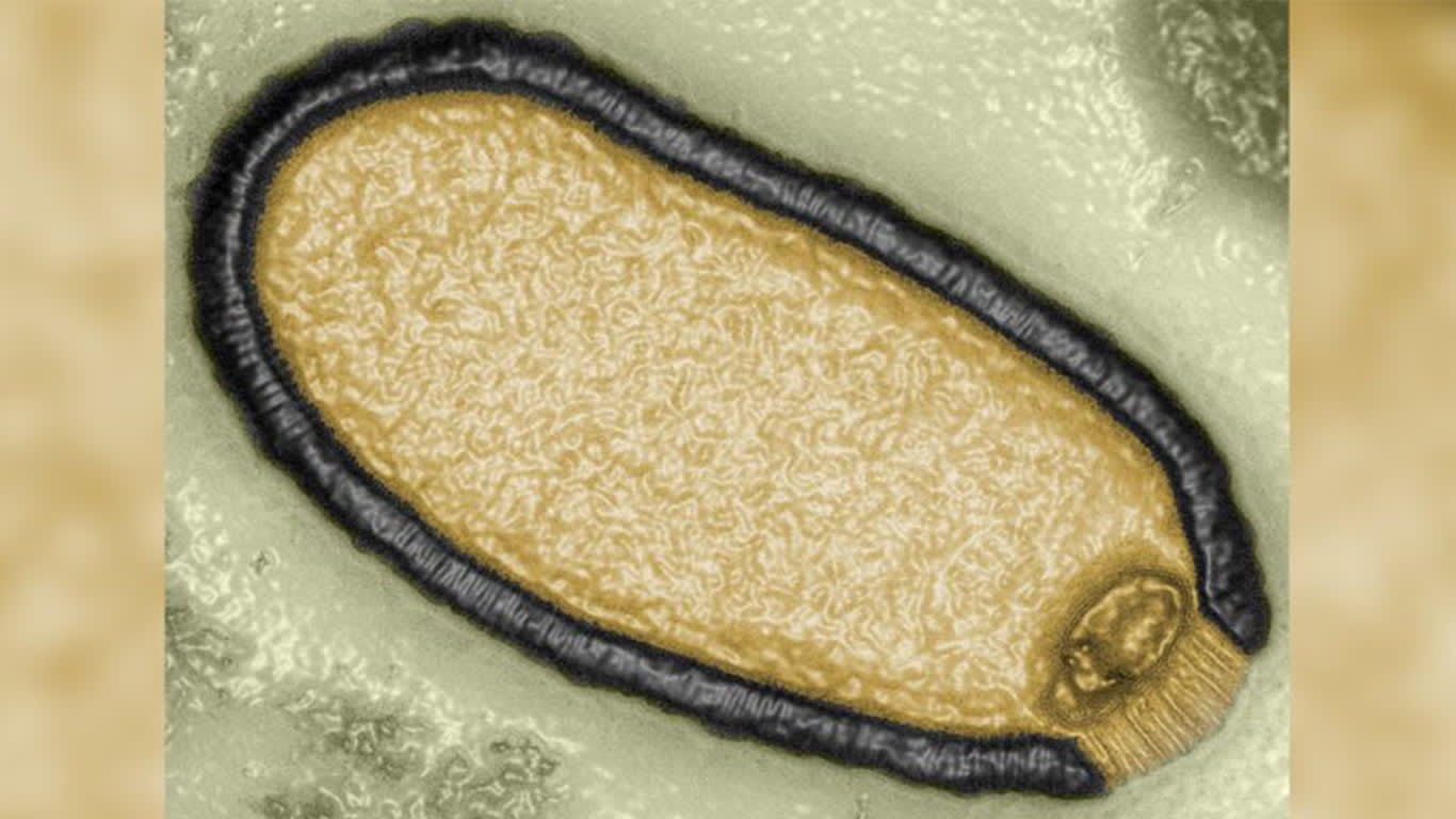 علماء يعيدون إحياء فيروس "زومبي" متجمد منذ 50 ألف عام تقريبًا