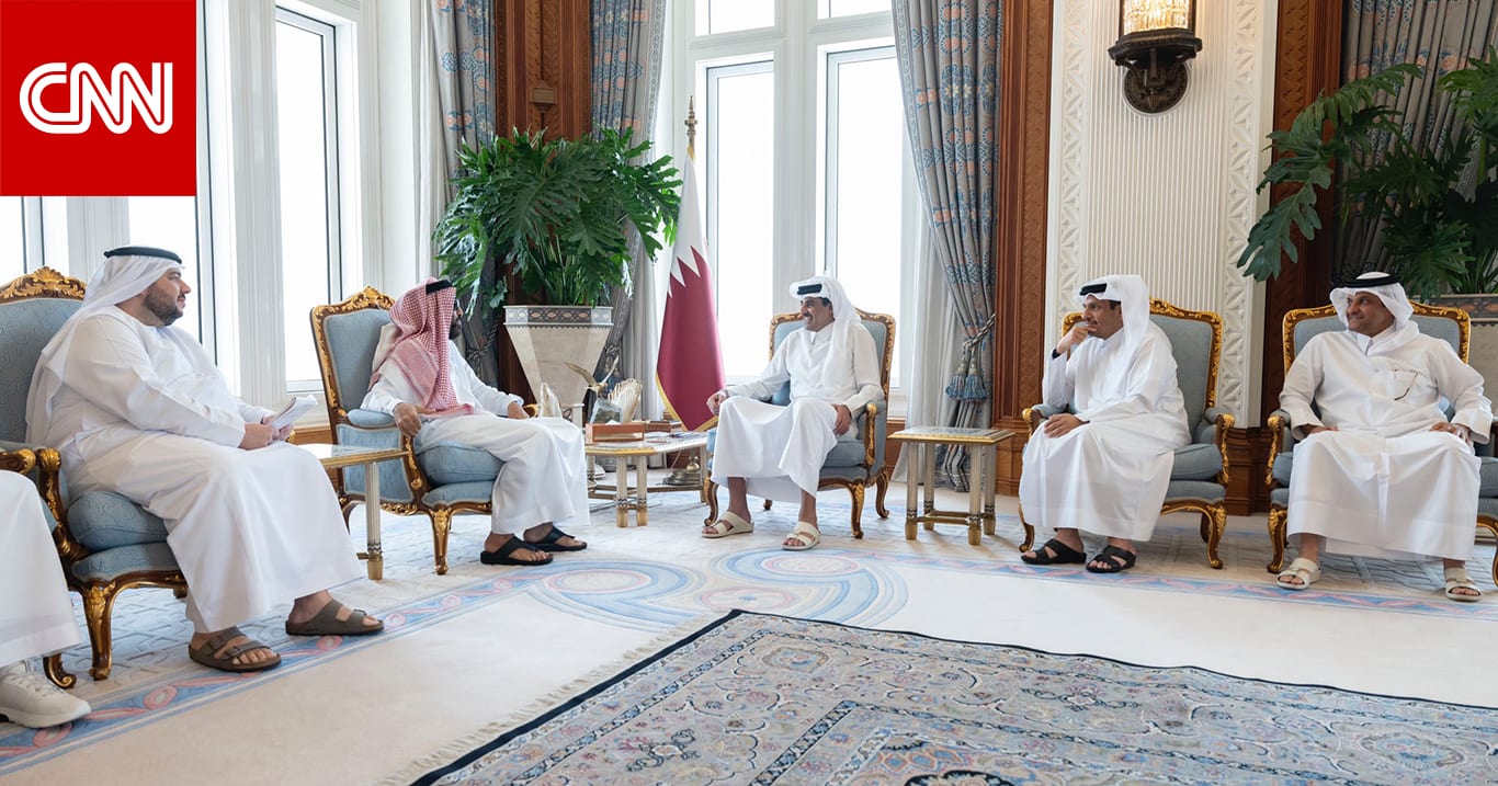 أمير قطر يستقبل طحنون بن زايد.. والصفدي يسلمه رسالة خطية من ملك الأردن