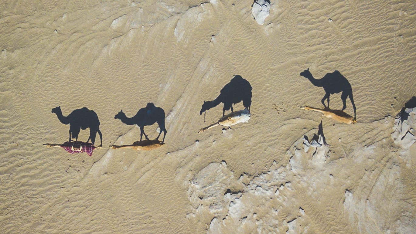 مصورة ترصد نساء إماراتيات تمارسن الصقارة بصحراء أبوظبي