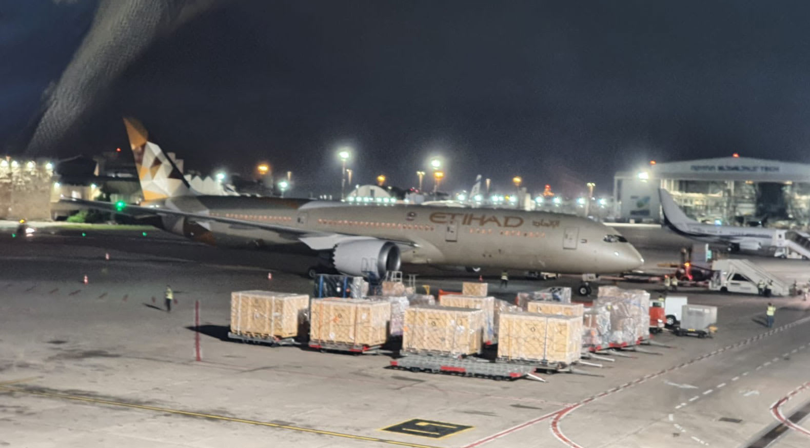 صورة طائرة الاتحاد الإماراتية في مطار بن غوريون وفقا لصفحة إسرائيل بالخليج على تويتر