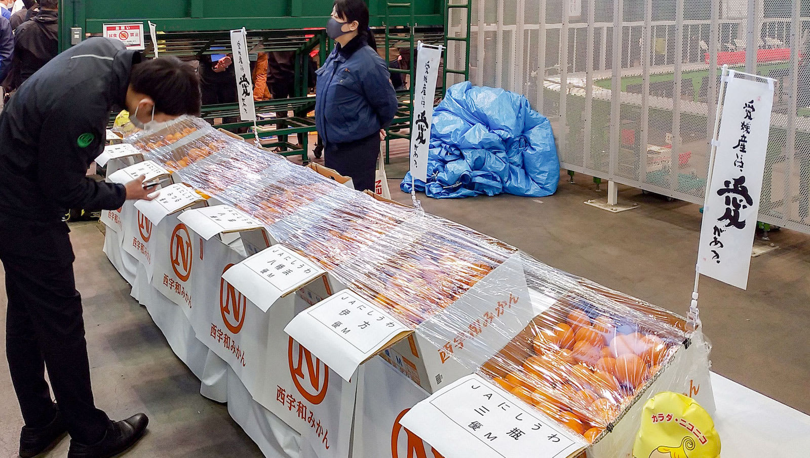 صندوق برتقال يباع بحوالي 10 آلاف دولار في اليابان