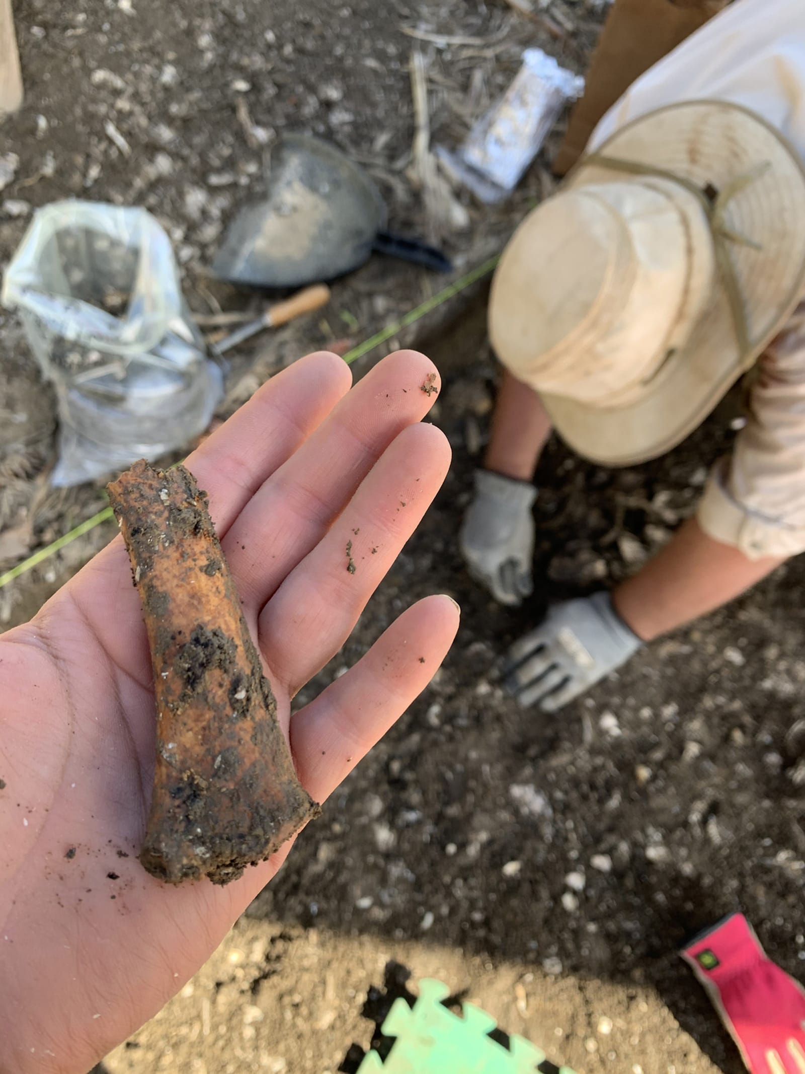 علماء آثار يكتشفون مواقع عمرها 300 عام محفوظة بالكامل 