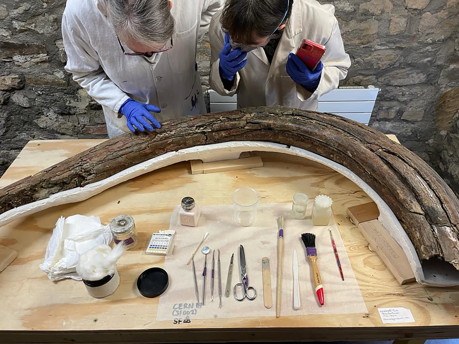 اكتشاف لعظام الماموث وأدوات إنسان نياندرتال يكشف عن الحياة في العصر الجليدي
