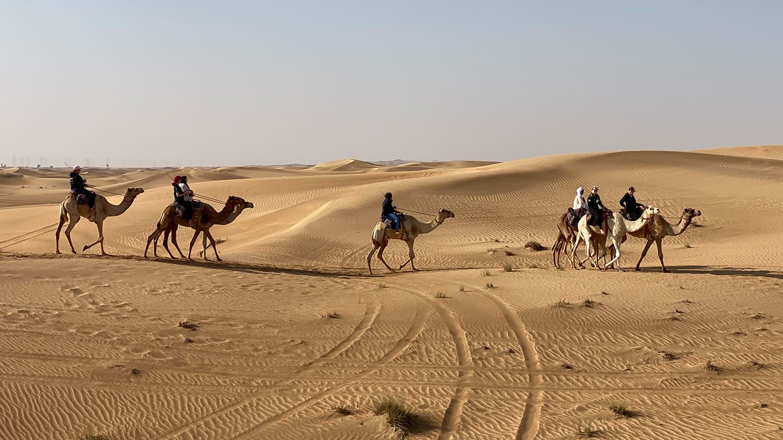 تقود النساء الطريق في أول مدرسة لركوب الإبل في دبي