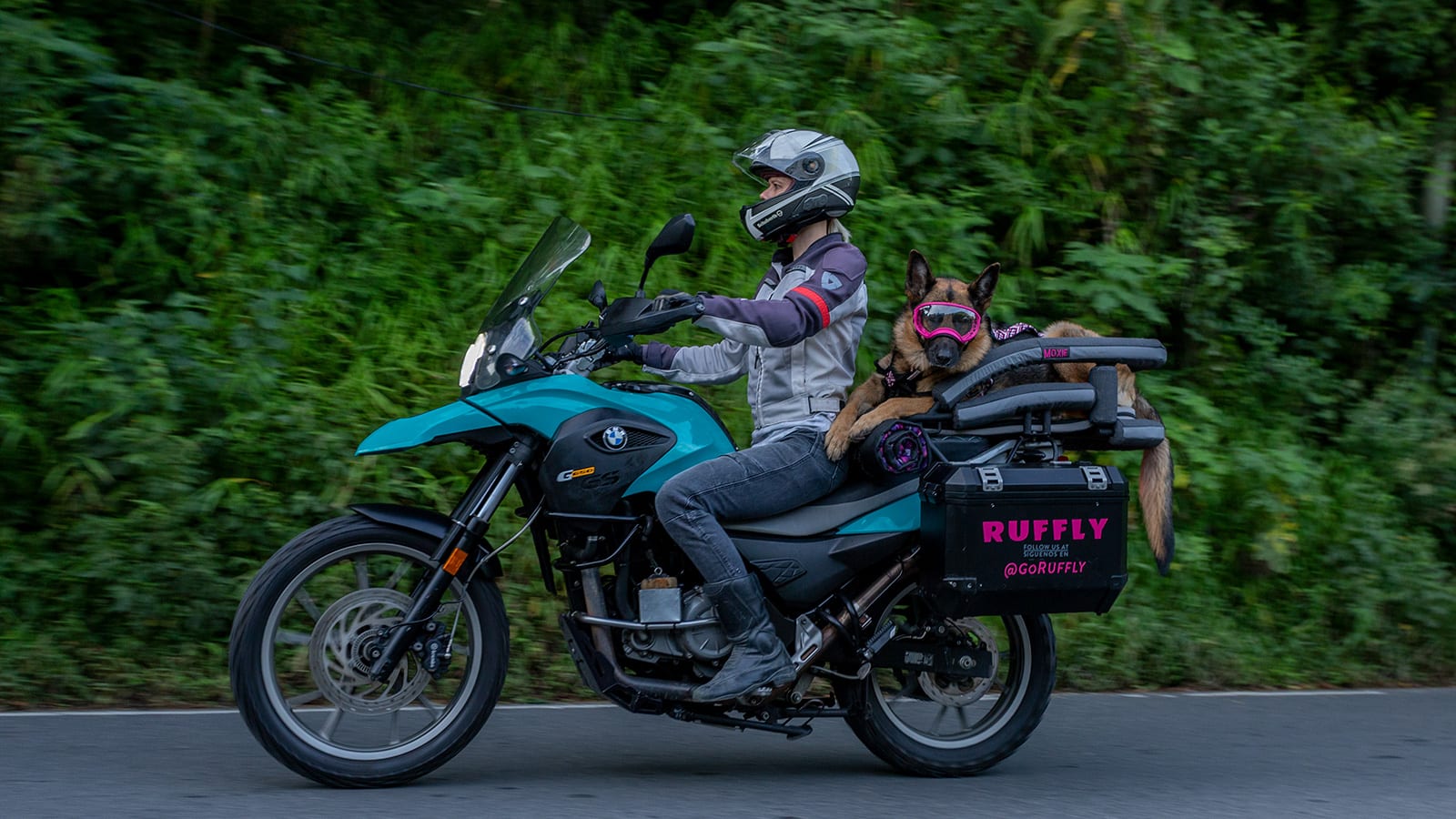 تركب الدراجة النارية بنظاراتها الطريفة.. تسافر هذه المرأة مع كلبتها الضخمة 