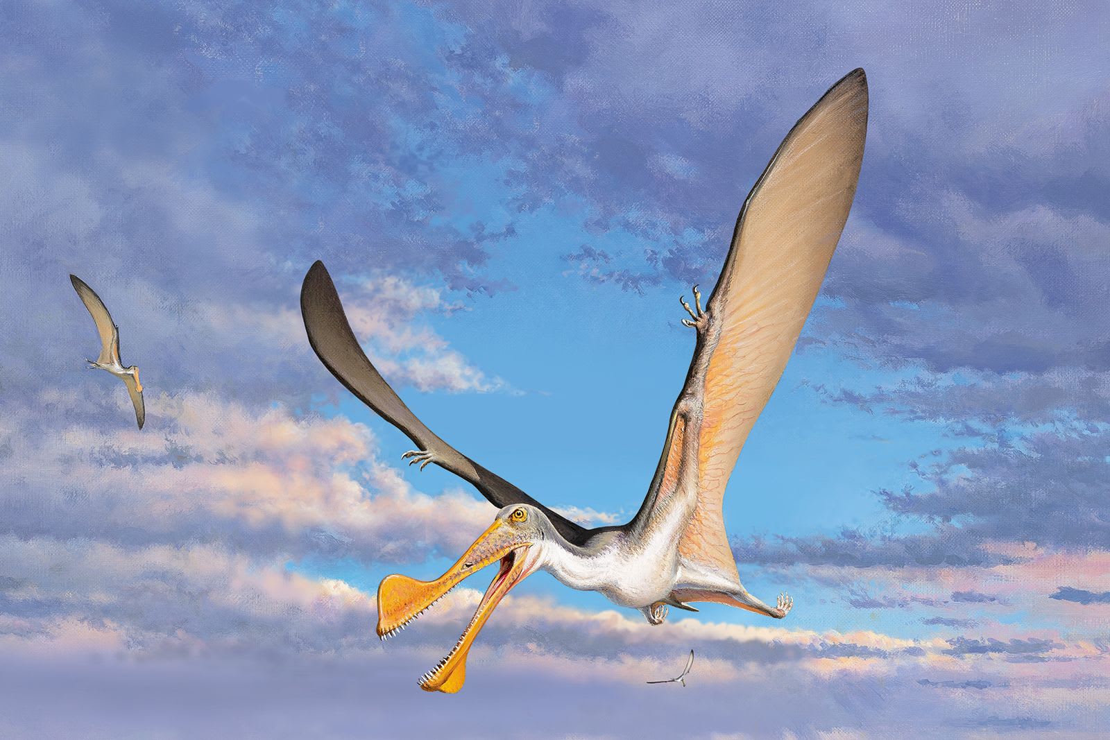 230531140008-oldest-pterosaur-bones-australia.jpg