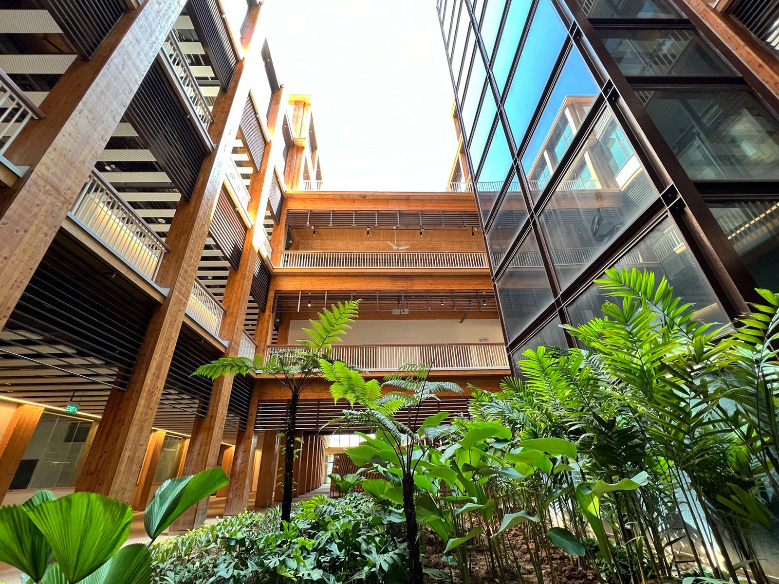 "مثل دخول غابة".. ألق نظرة على أكبر مبنى خشبي في آسيا