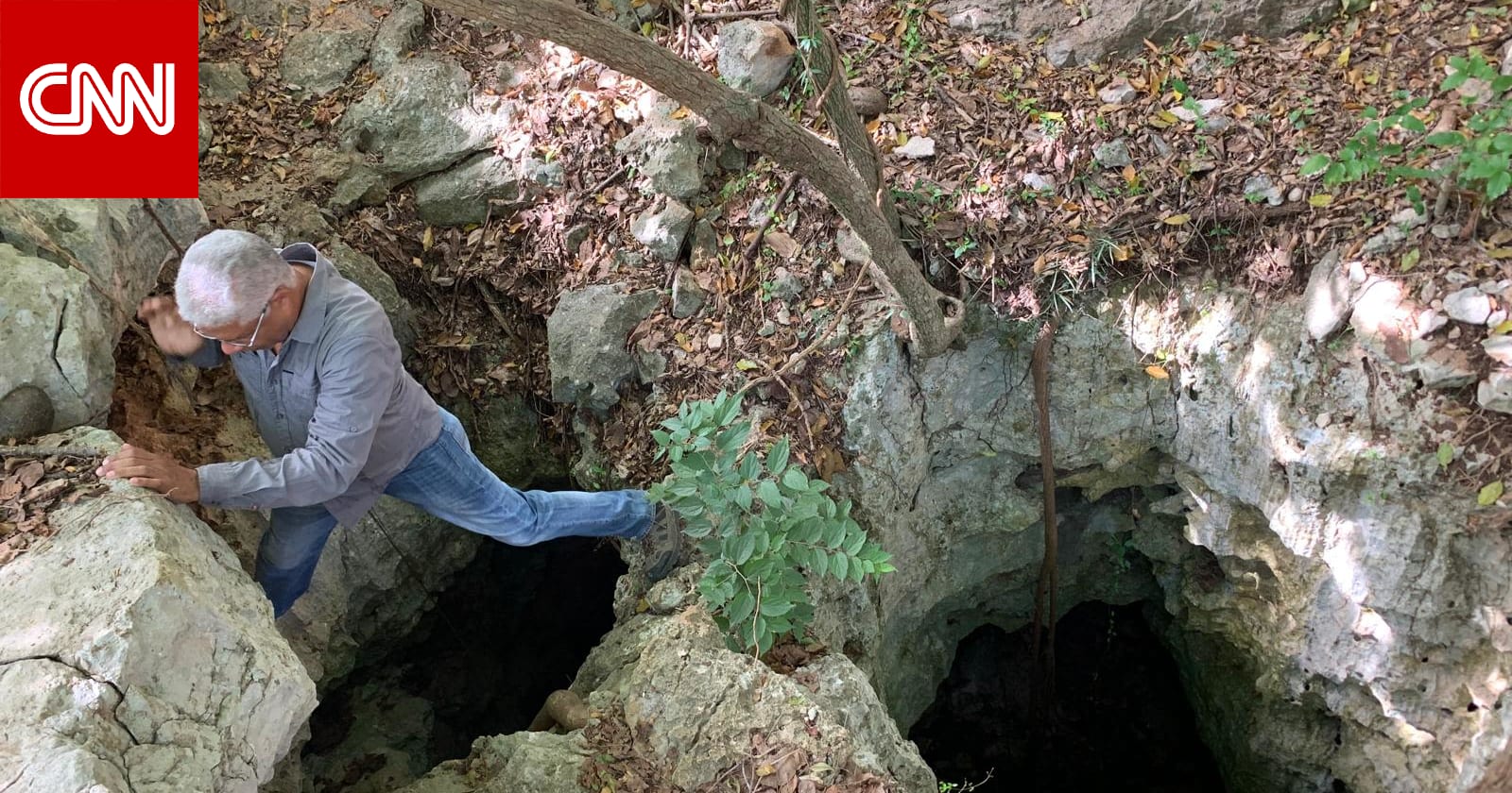 عشّ في مكان غير متوقع.. علماء يكتشفون كيف تكيف النحل مع البيئة في الماضي السحيق 