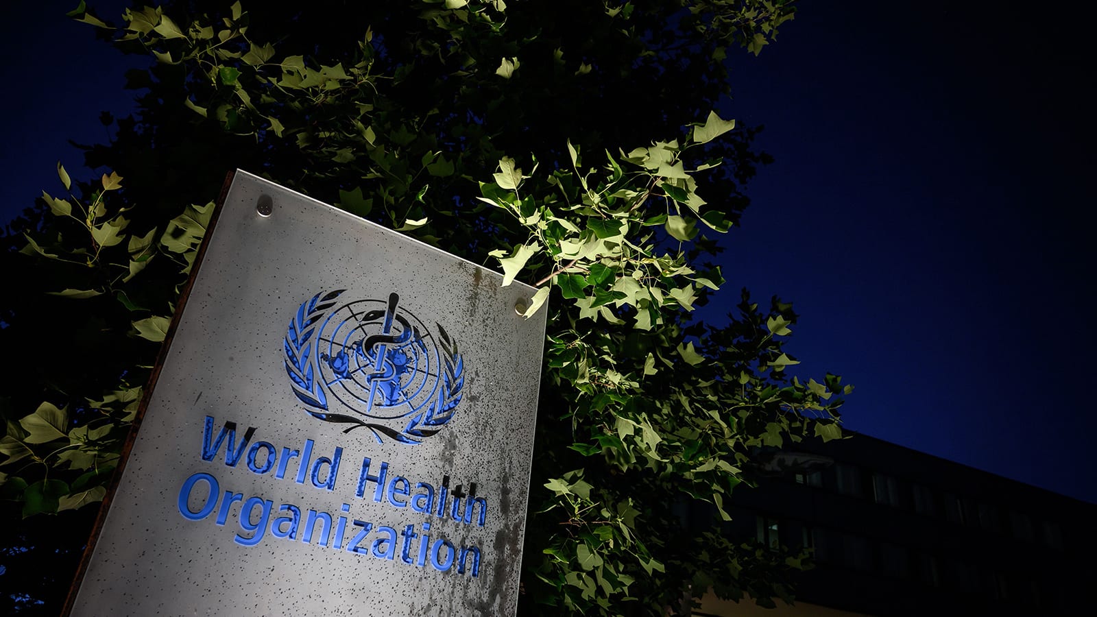 طبيب في منظمة الصحة العالمية زار ووهان: إيقاف فيروس كورونا ممكن