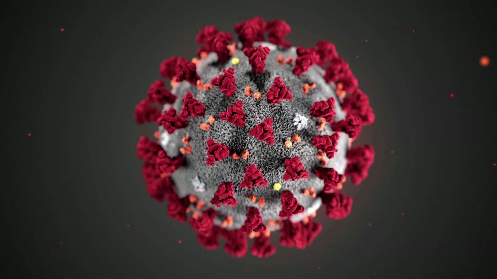 خبراء يجيبون على بعض الأسئلة الشائعة حول متغيرات فيروس كورونا