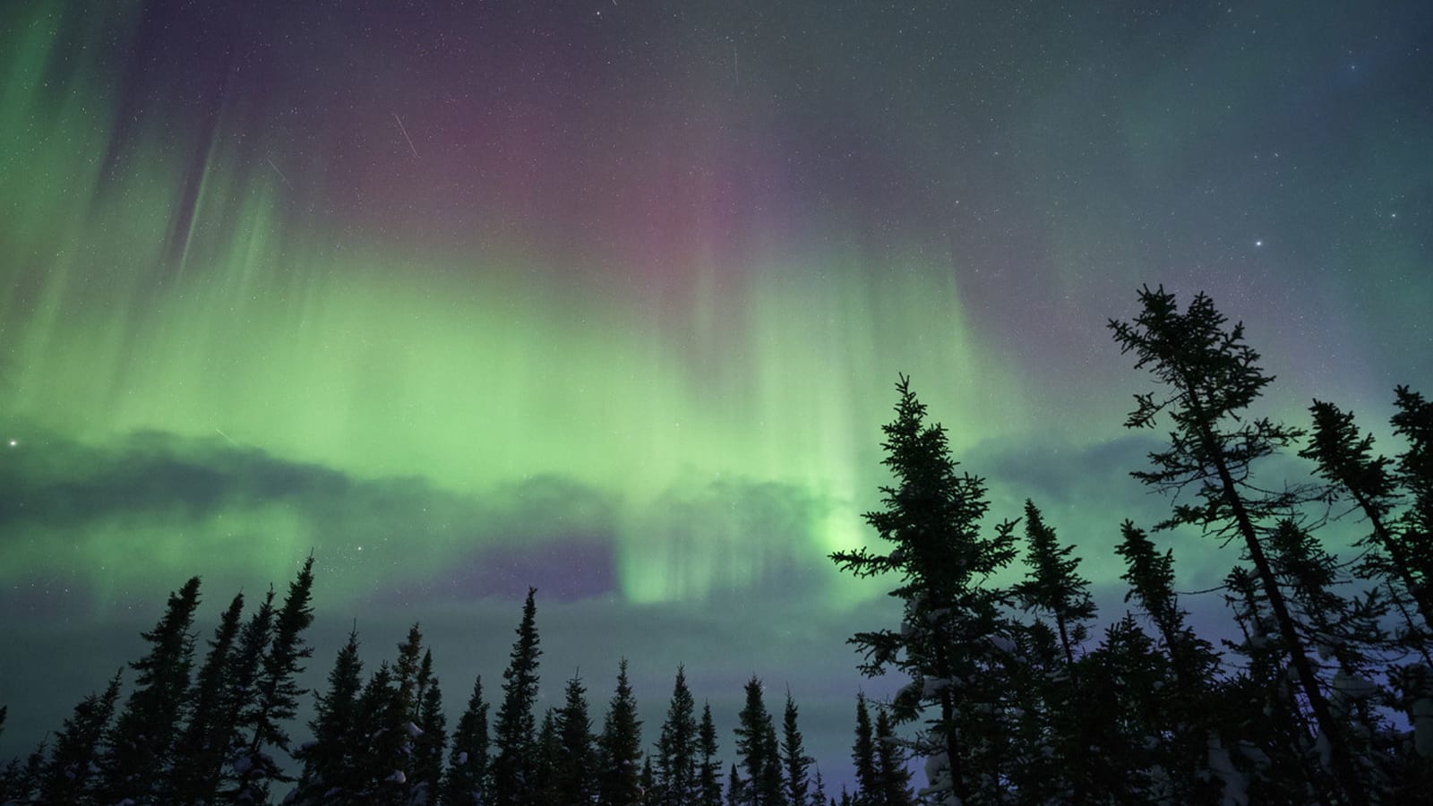 في مشهد مذهل.. أضواء الشفق القطبي تتراقص فوق فنلندا