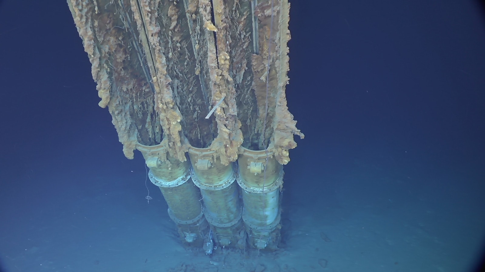 العثور على خمور عمرها 100 عام من حطام سفينة من الحرب العالمية