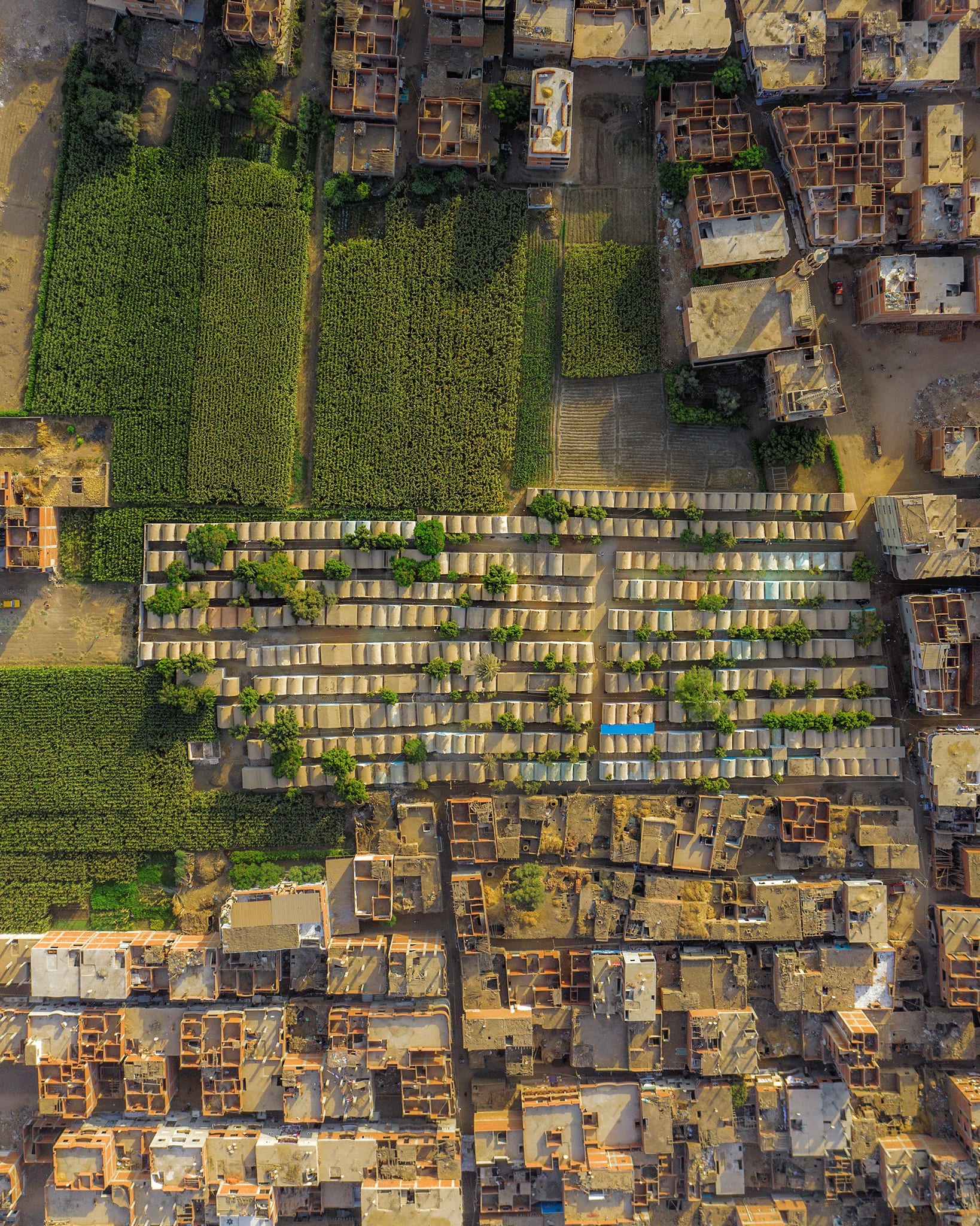 من الأعلى..مصري يبرز مدينة أموات يقطنها الأحياء في مصر