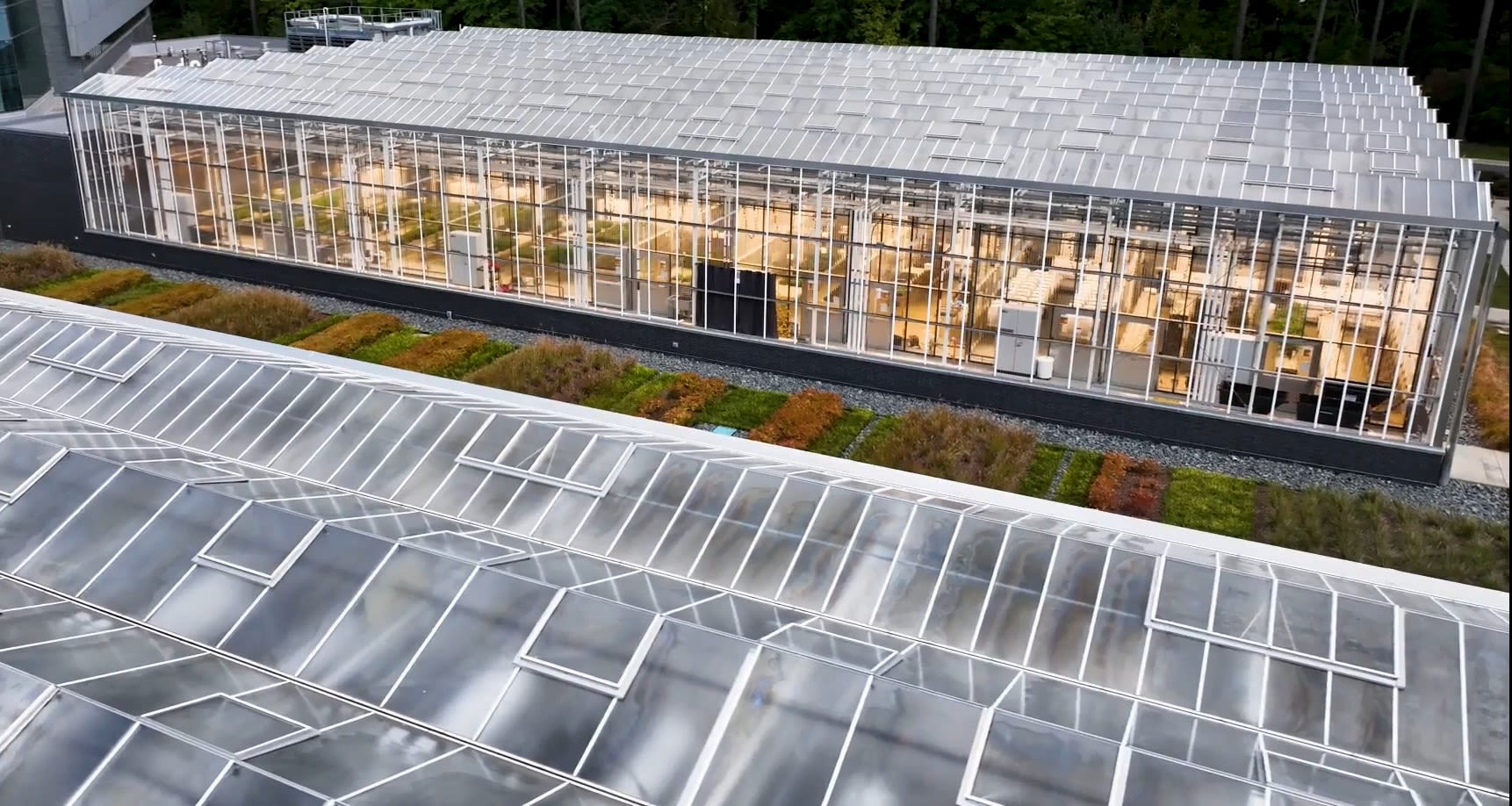 شركة ناشئة تستخدم الذكاء الاصطناعي لتعزيز عملية زراعة المحاصيل