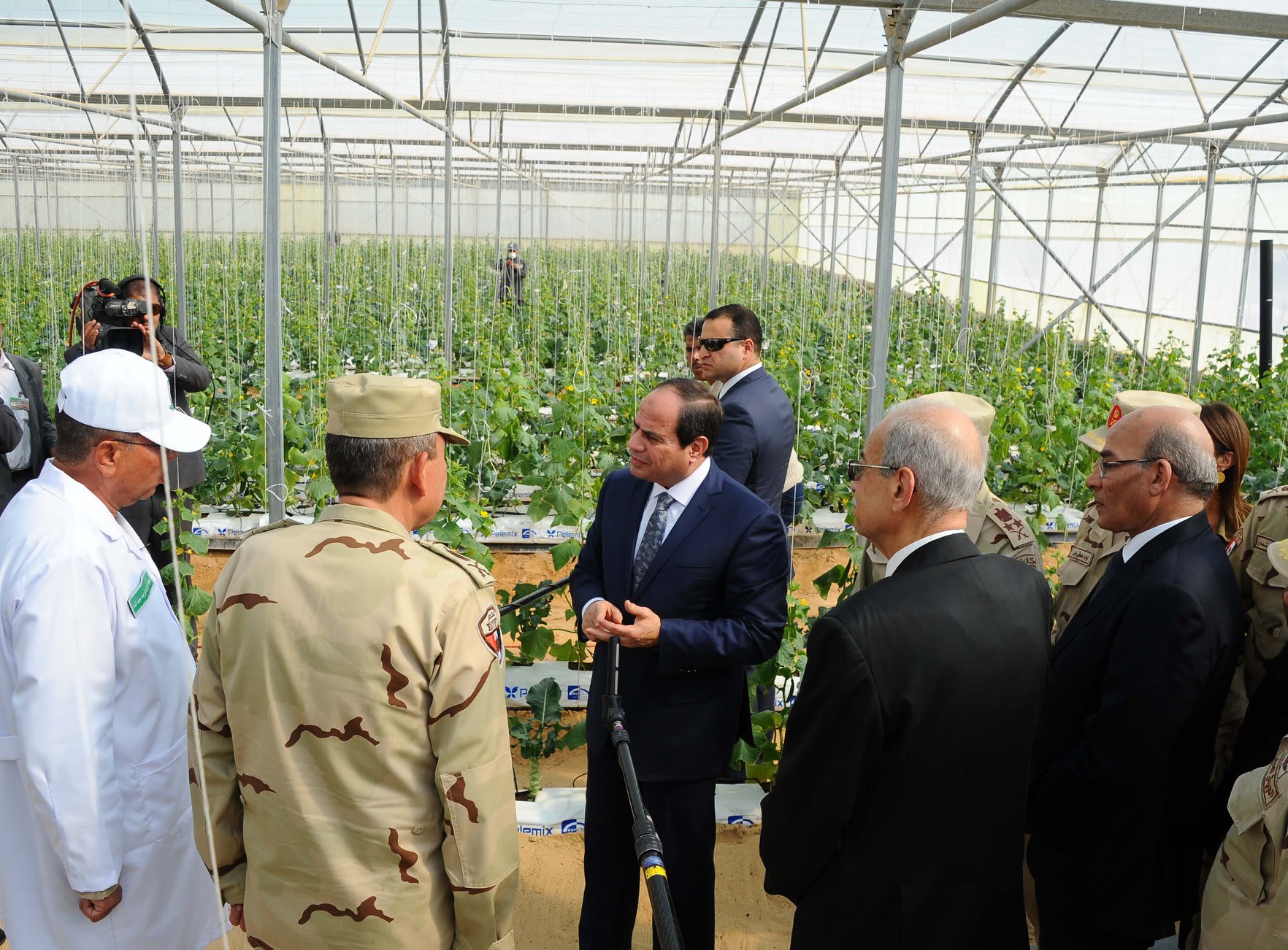 مصر: جدل حول مشروع الصوب الزراعية بقاعدة محمد نجيب.. وبرلماني: حقق طفرة في الصادرات