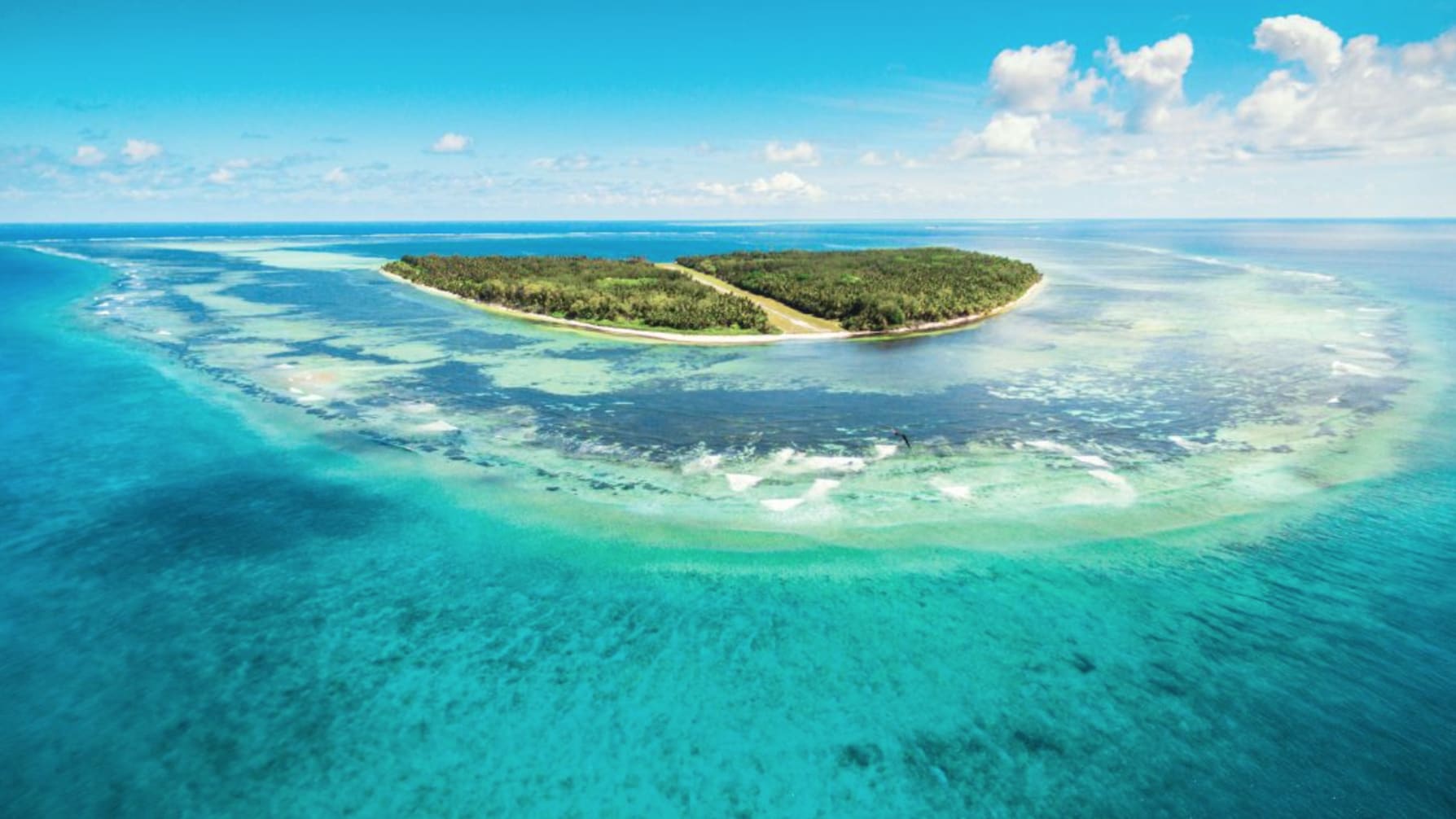 شاهد ما فعلته جزيرة كاريبية صغيرة لإعادة إحياء شعابها المرجانية