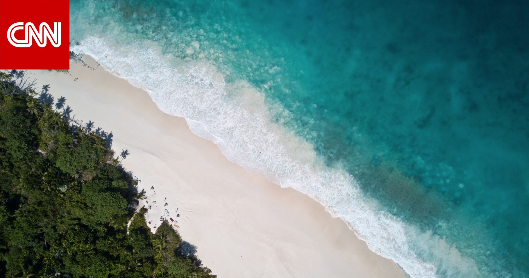 In the Seychelles… a long cruise saves the wildlife there and our planet at the same time.