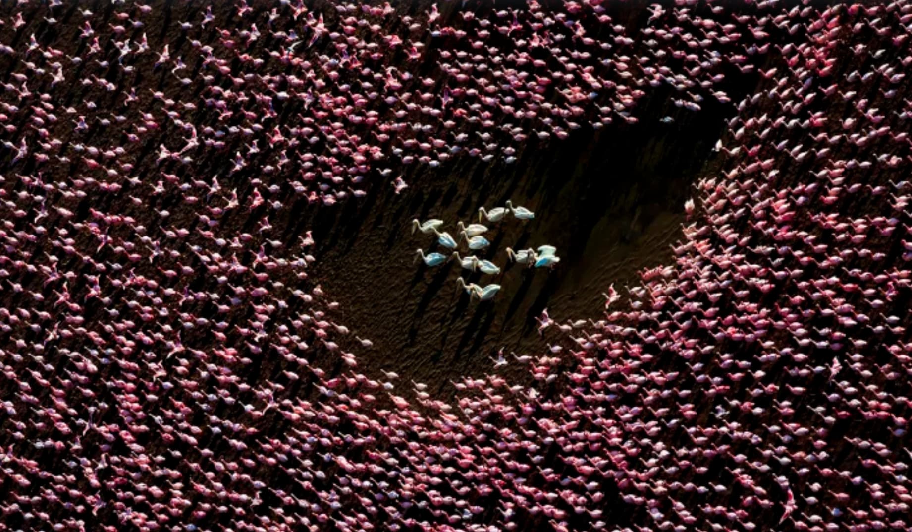 مسابقة التصوير الجوي الدولية للعام 2025