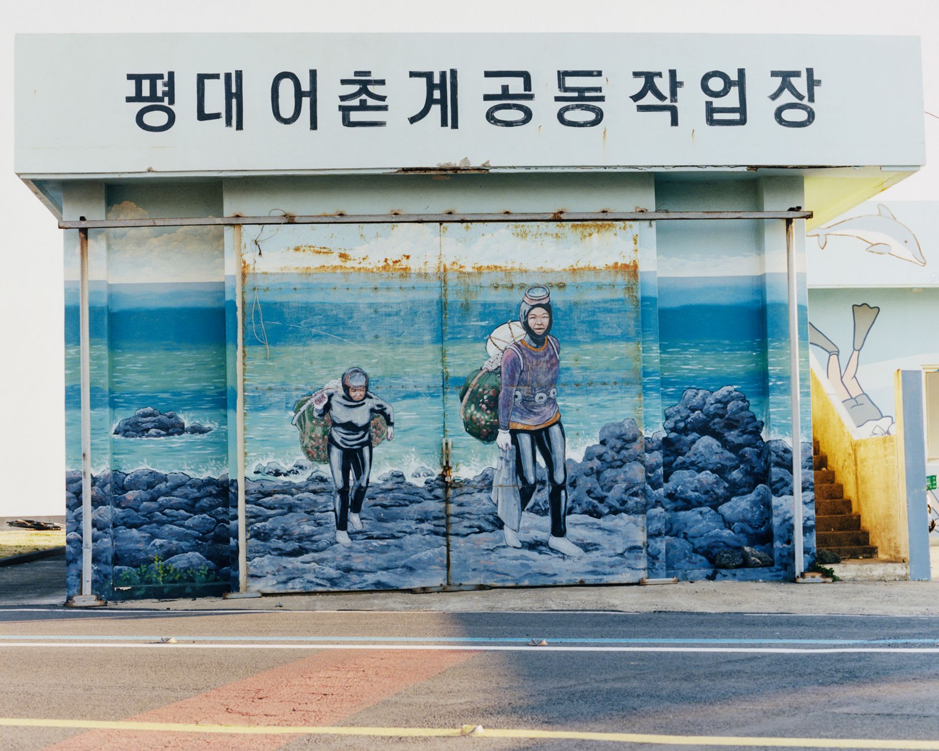 صور مذهلة تلتقط حوريات البحر الحقيقيات في كوريا الجنوبية