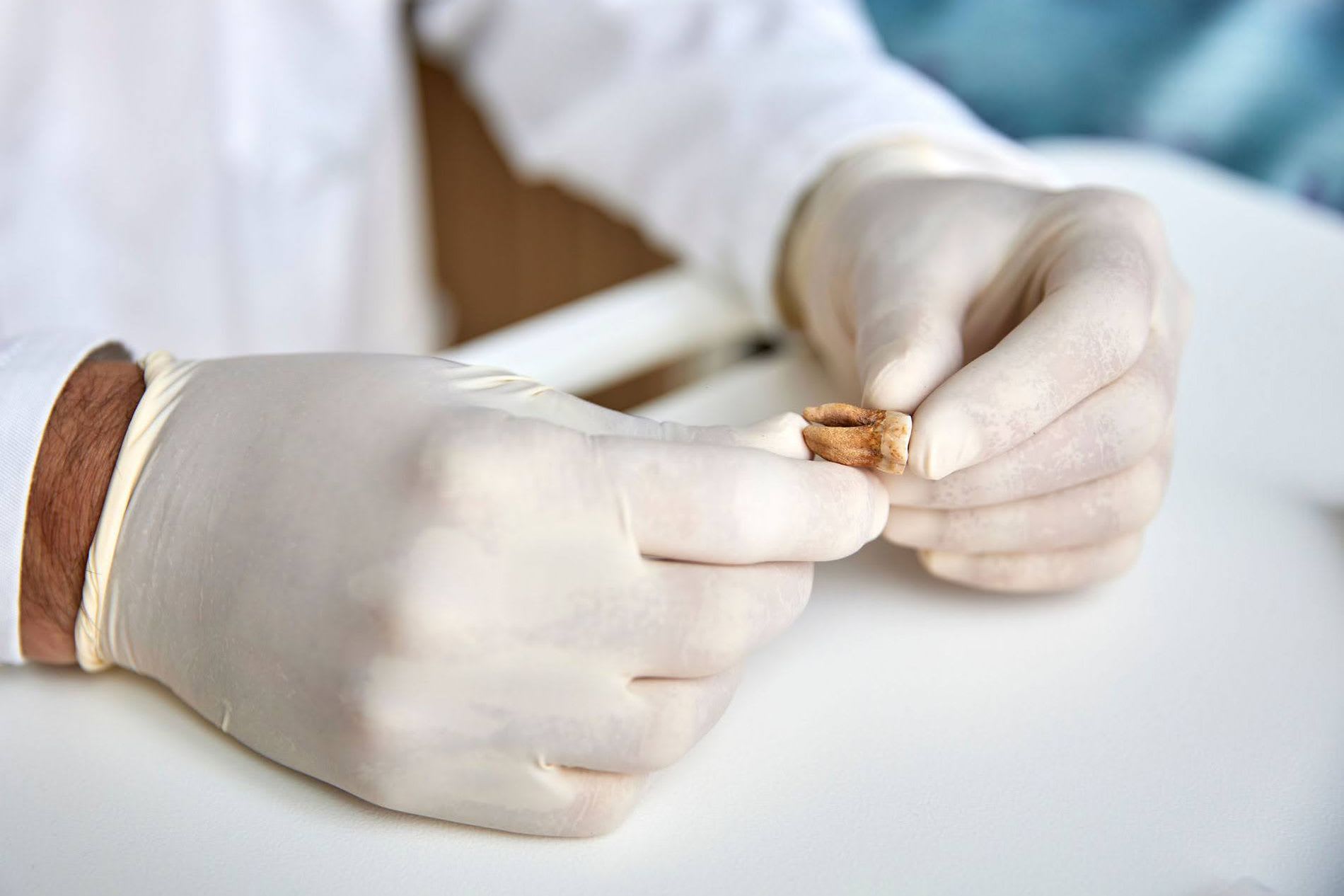 علماء يكشفون ماذا حصل لجيش نابليون المنكوب عند محاولته غزو روسيا