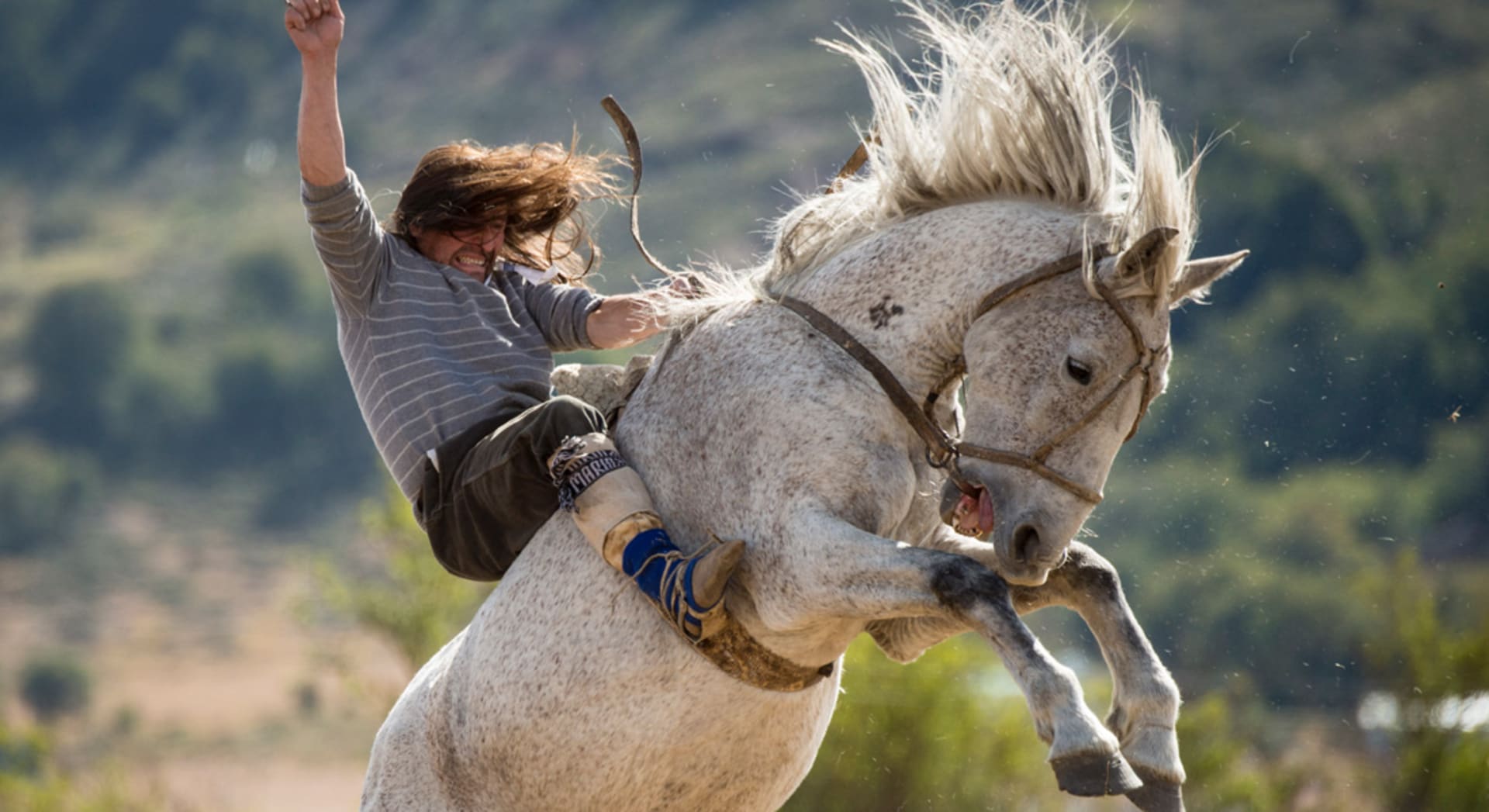 هذه التشيلي حيث تقاس شجاعة الفرسان بعناد خيولهم Cnn Arabic