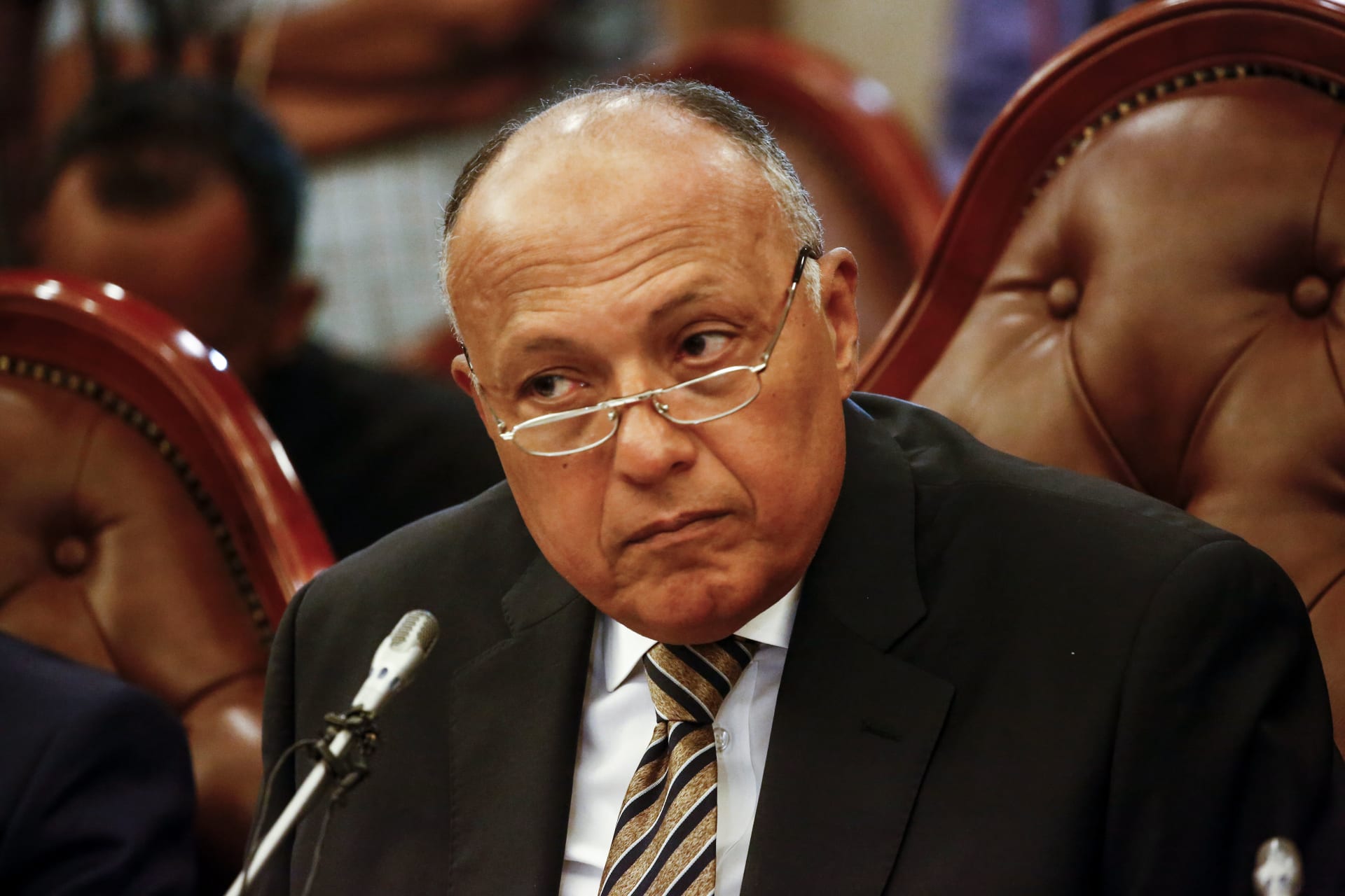 وزير خارجية مصر يهاجم الجزيرة: محمد فهمي دليل على التلاعب 