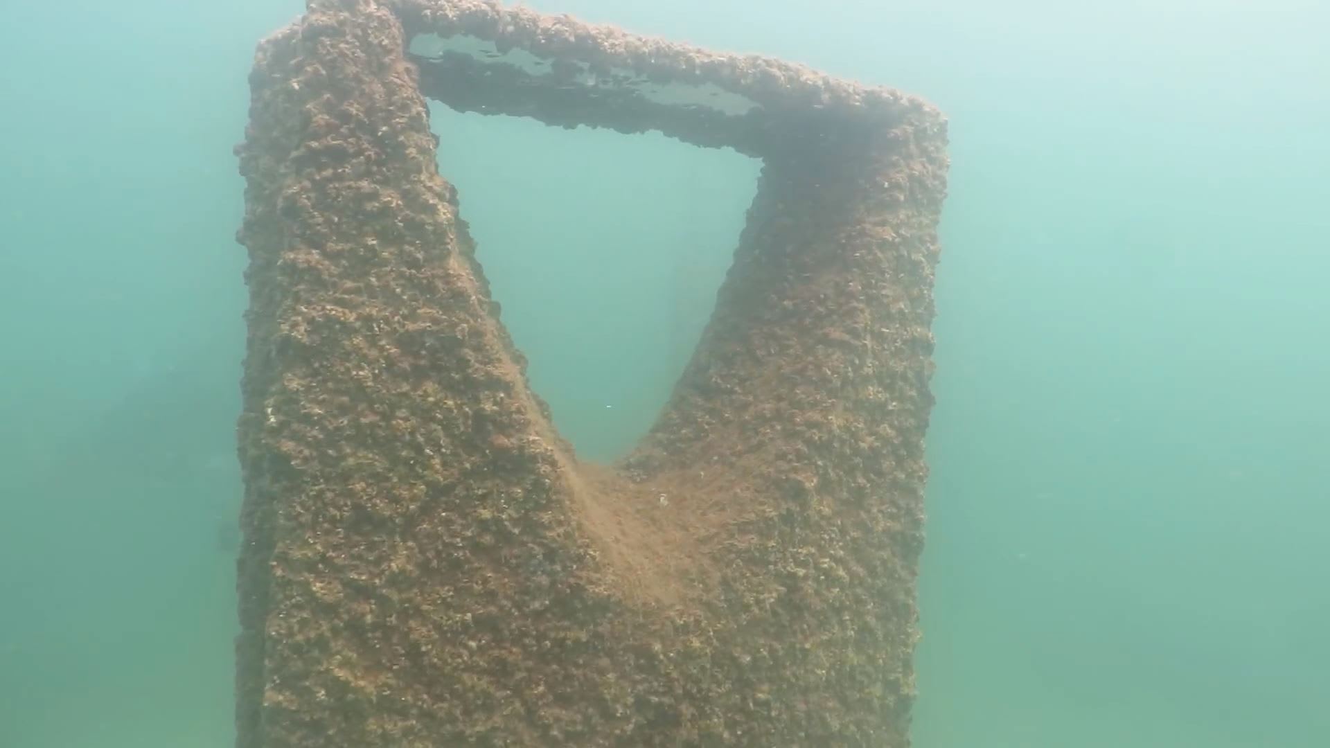 استكشف أول متحف سعودي تحت الماء يتزين بمعالم الخليج Cnn Arabic