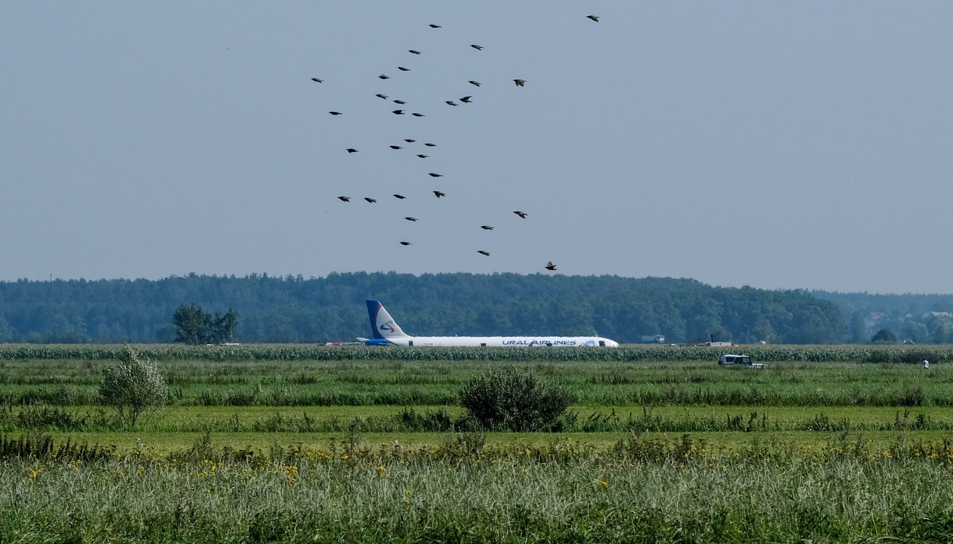 هبوط اضطراري لطائرة روسية تحمل 233 شخصا وسط الحقول بعد اصطدامها بسرب طيور
