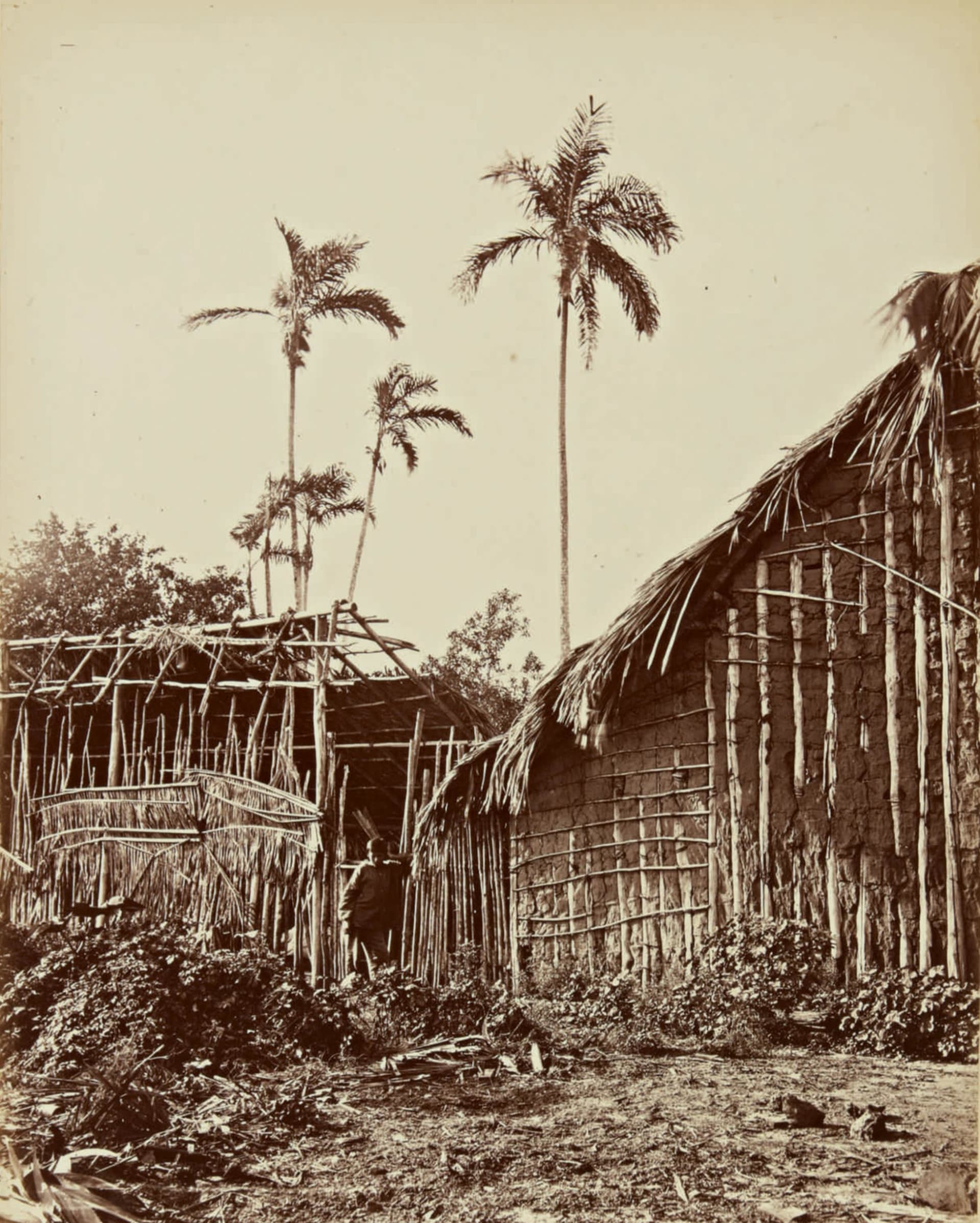 صور نادرة من القرن التاسع عشر تبين الماضي المزدهر لغابات الأمازون