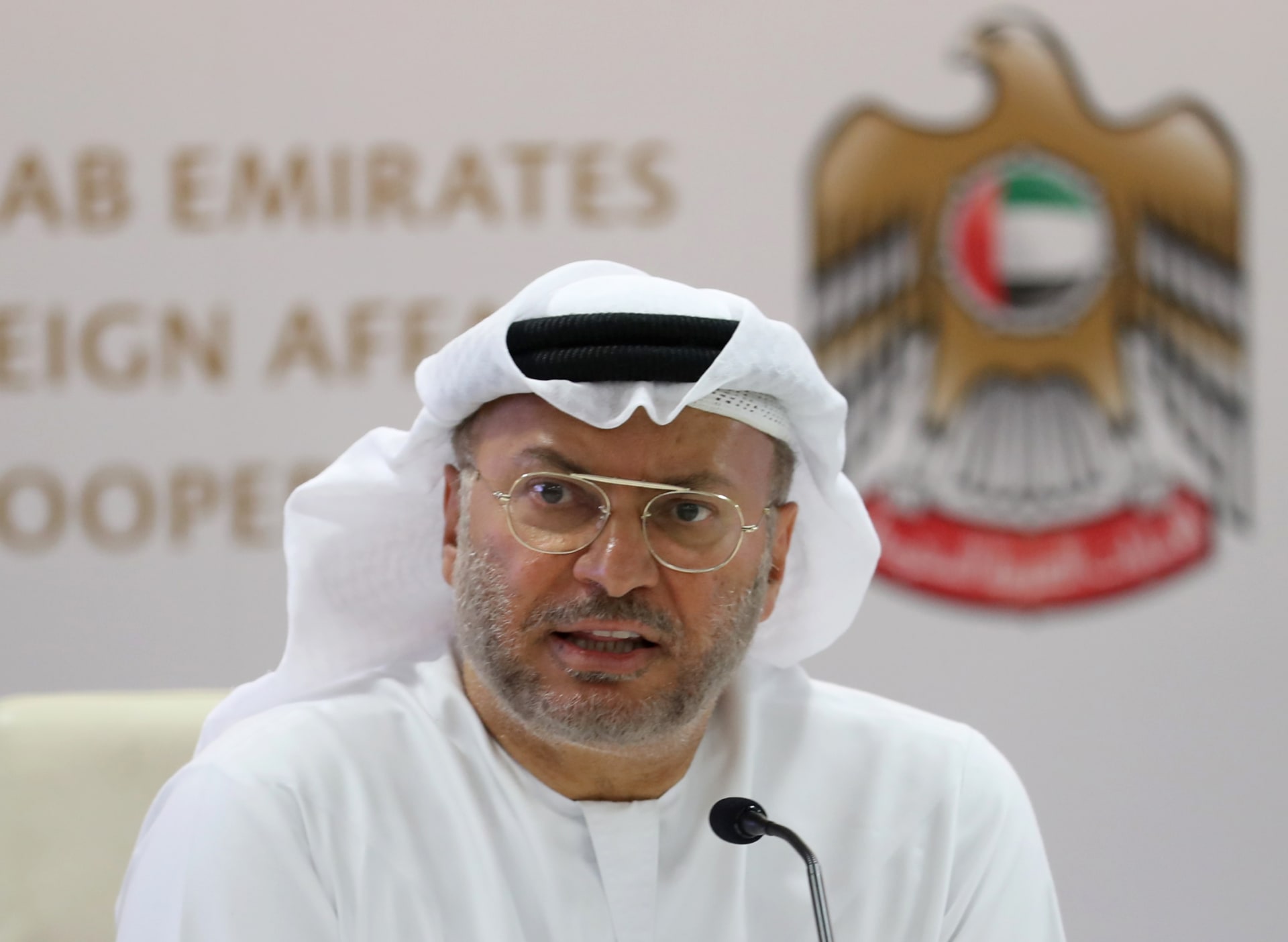 وزير الدولة الإماراتي للشؤون الخارجية أنور قرقاش 