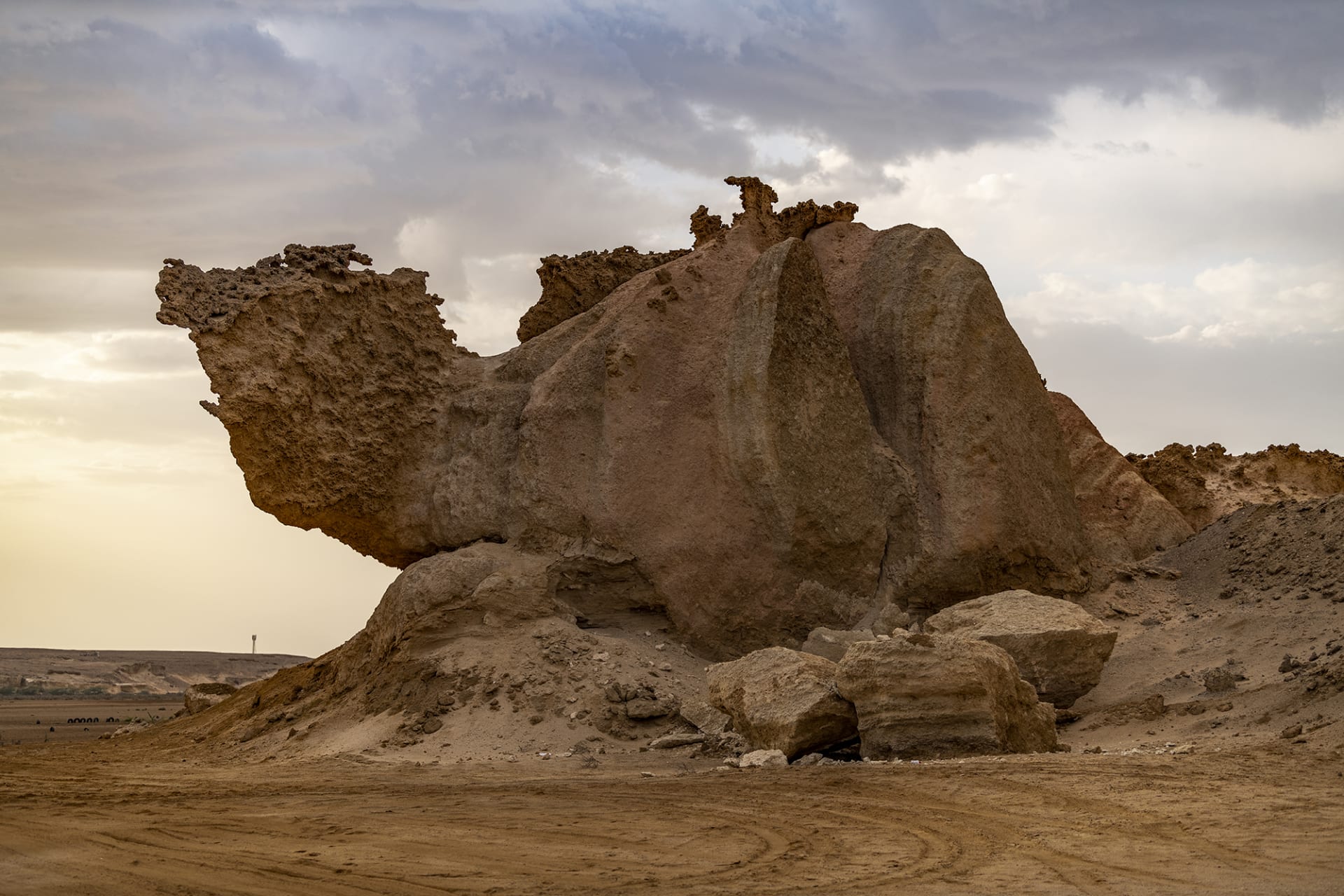 صخرة الجمل في السعودية