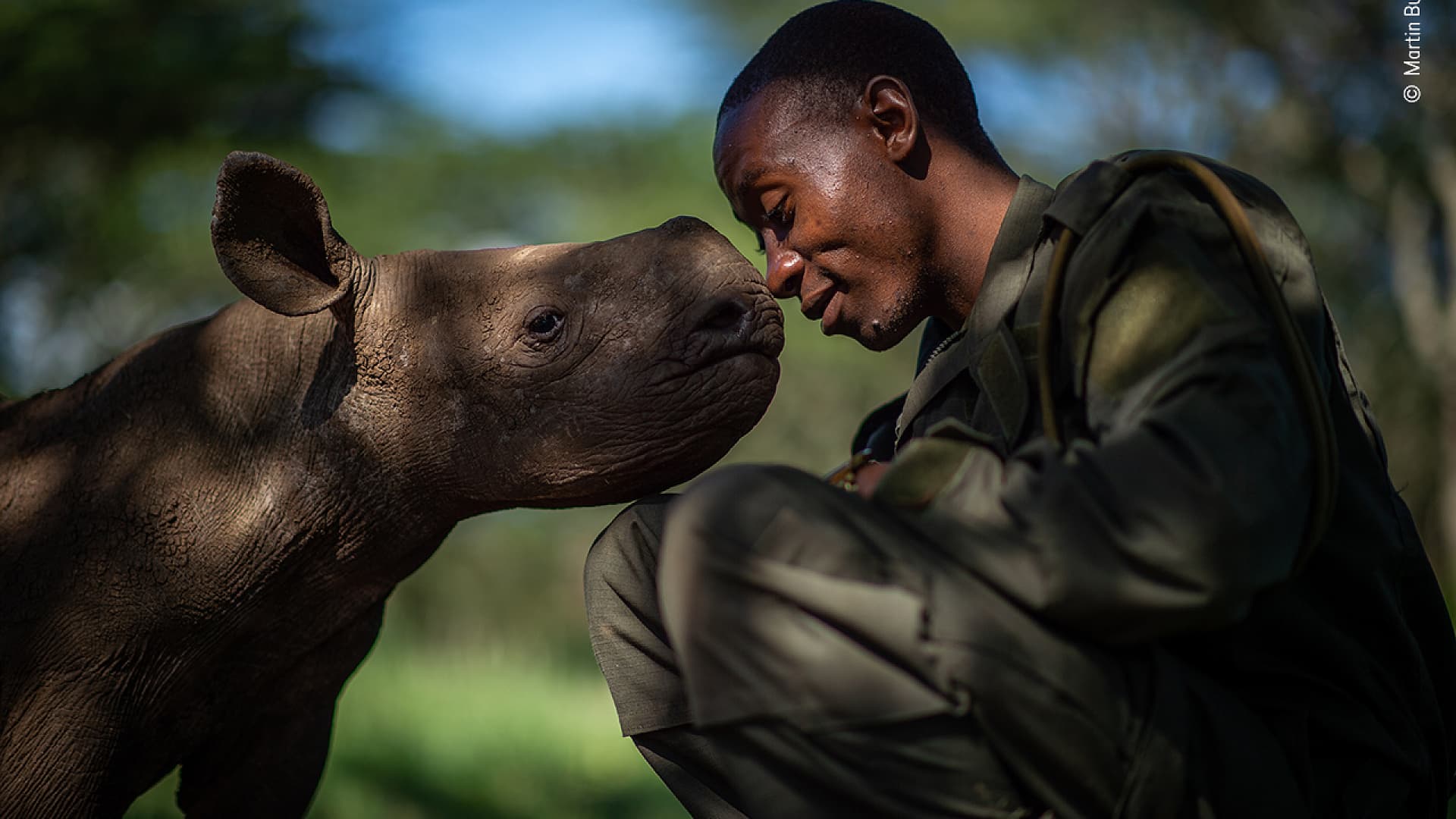  لقطة خاصة لصغير وحيد القرن مع حارسه في كينيا