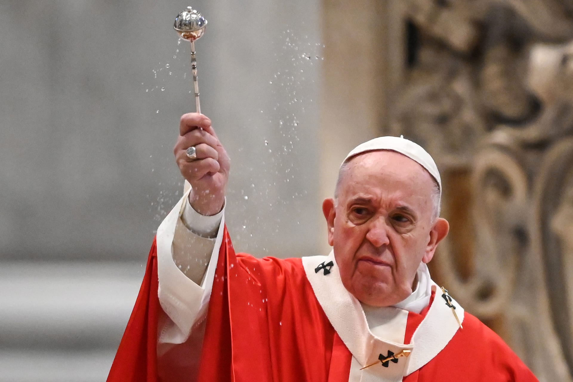 بابا الفاتيكان البابا فرانسيس 