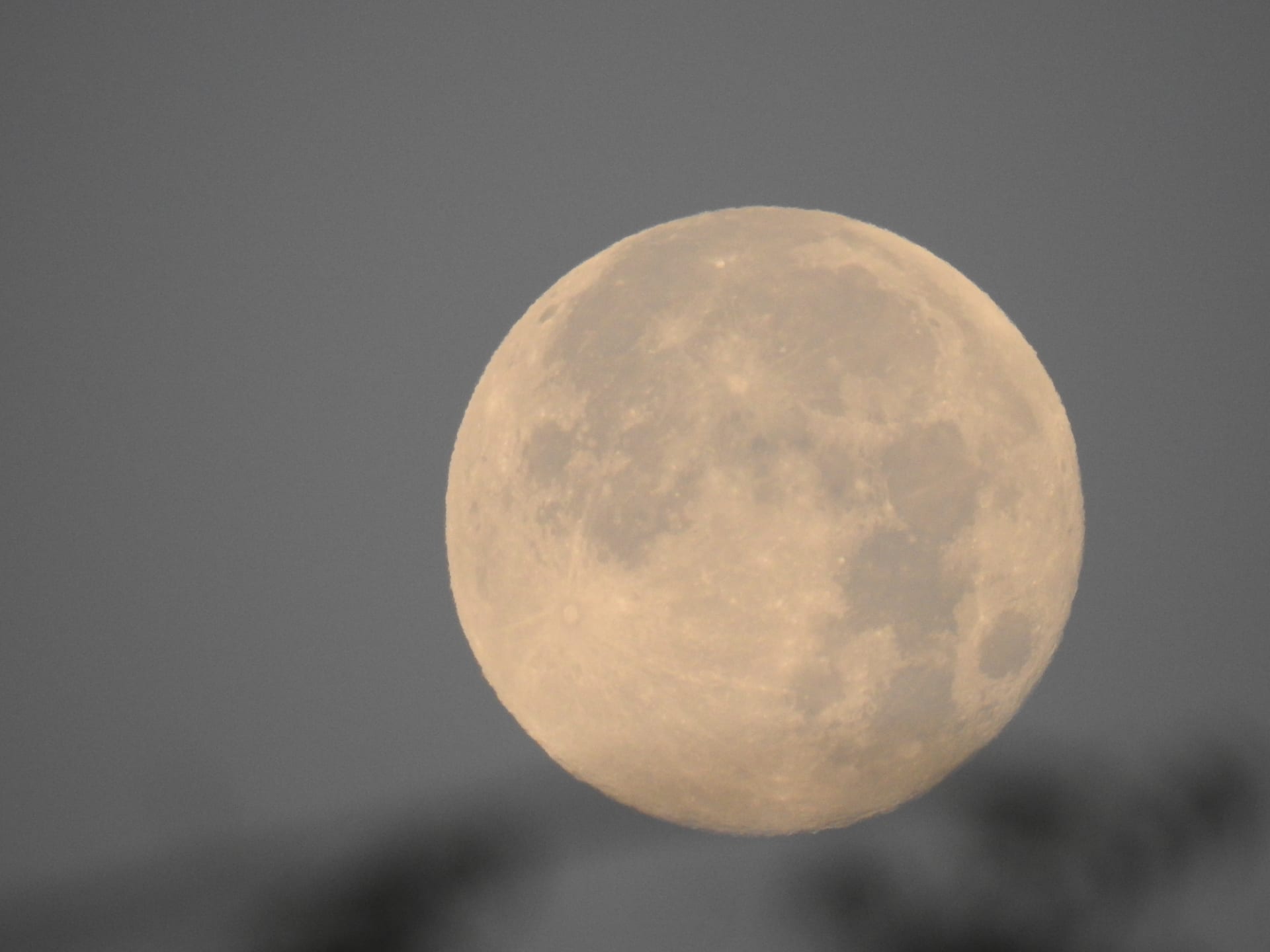 القمر العملاق يزين سماء دبي وإماراتية ترصد الظاهرة الفلكية