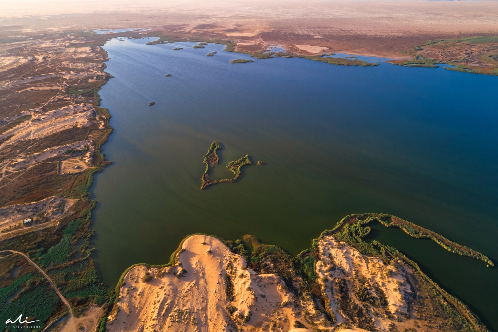بحيرة الأصفر في السعودية