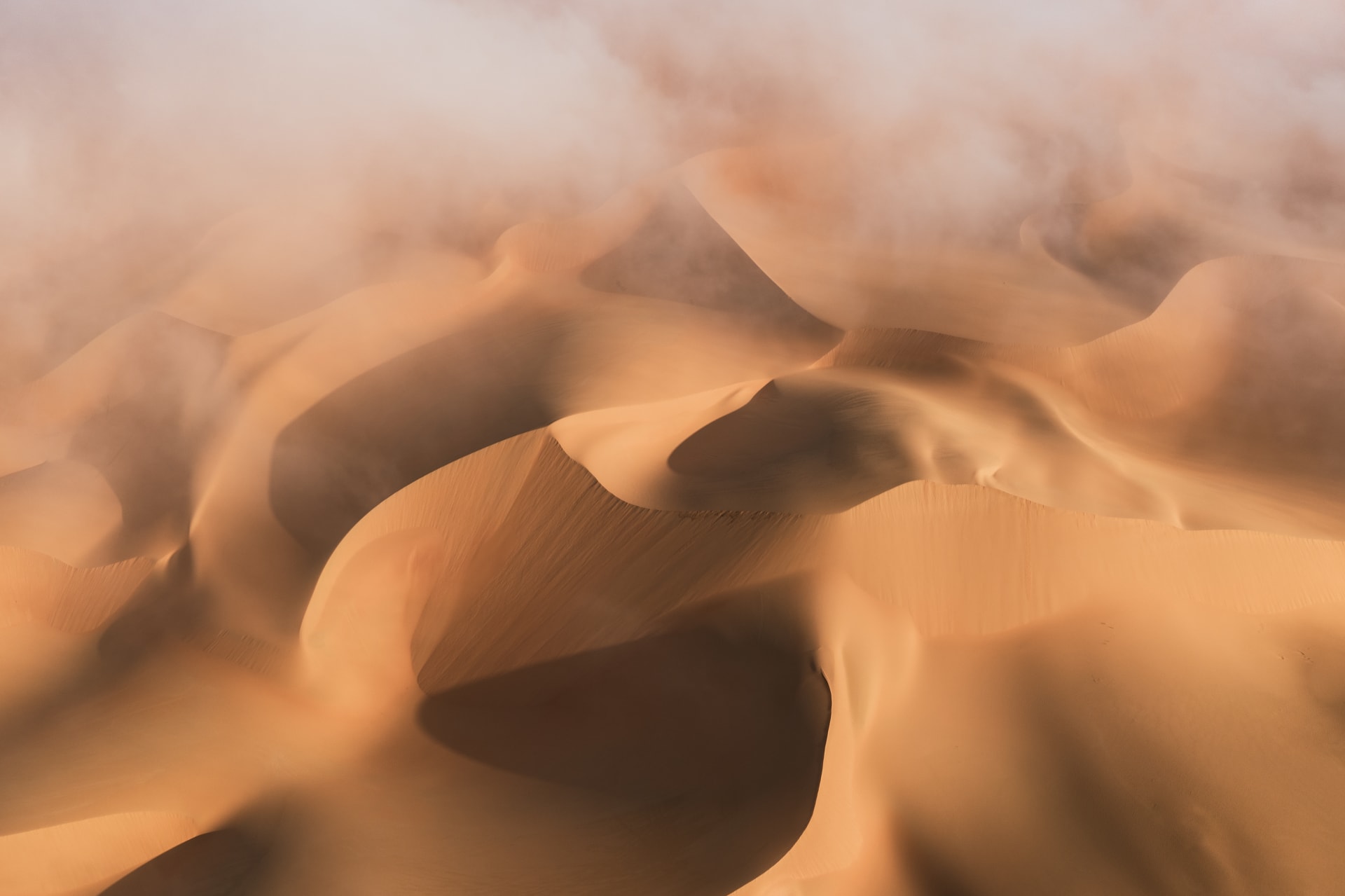 صحراء ليوا في أبوظبي