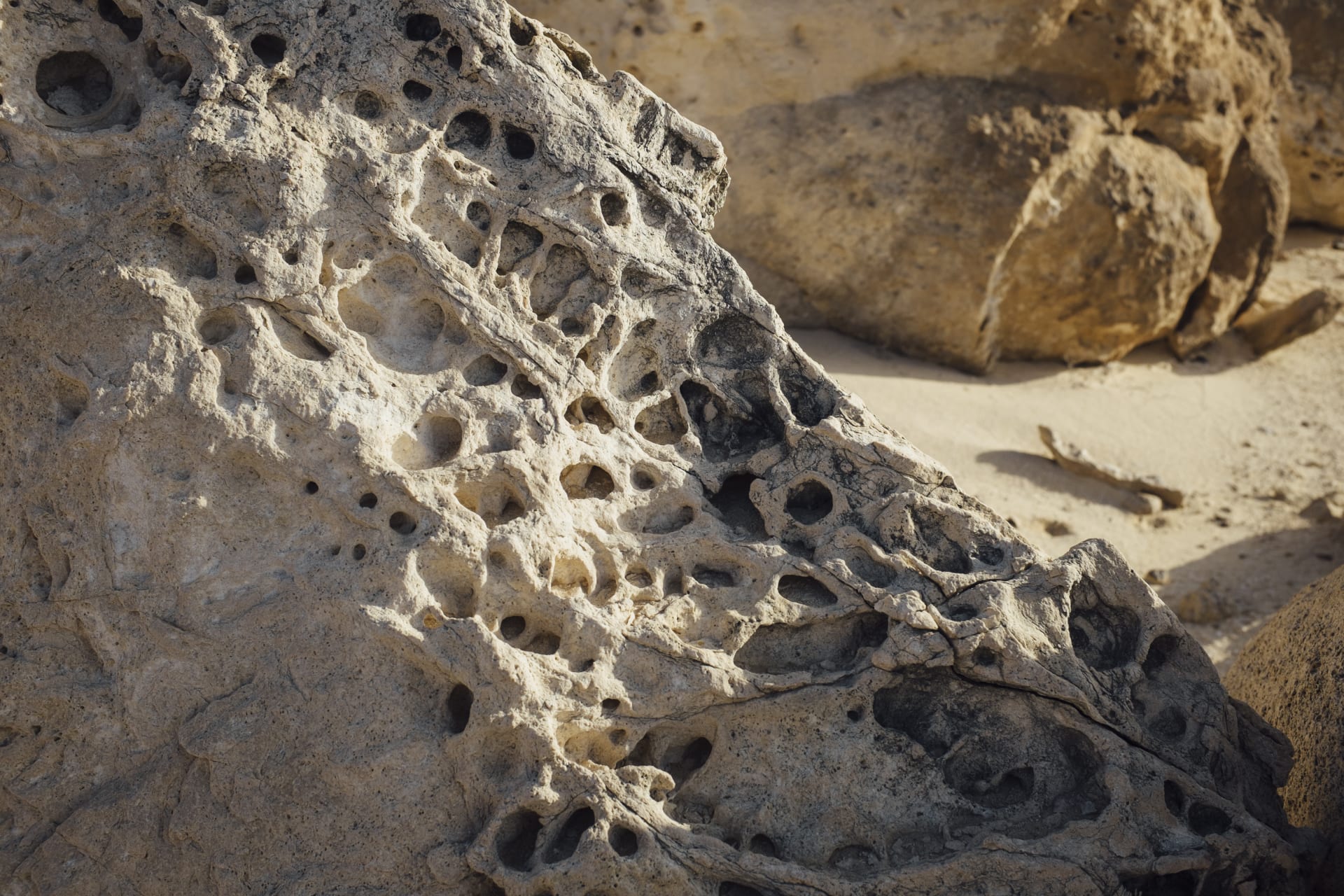 ستشعر وكأنك تمشي على حلوى الخطمي.. إليك ما يمكنك فعله في حديقة الصخور في عمان