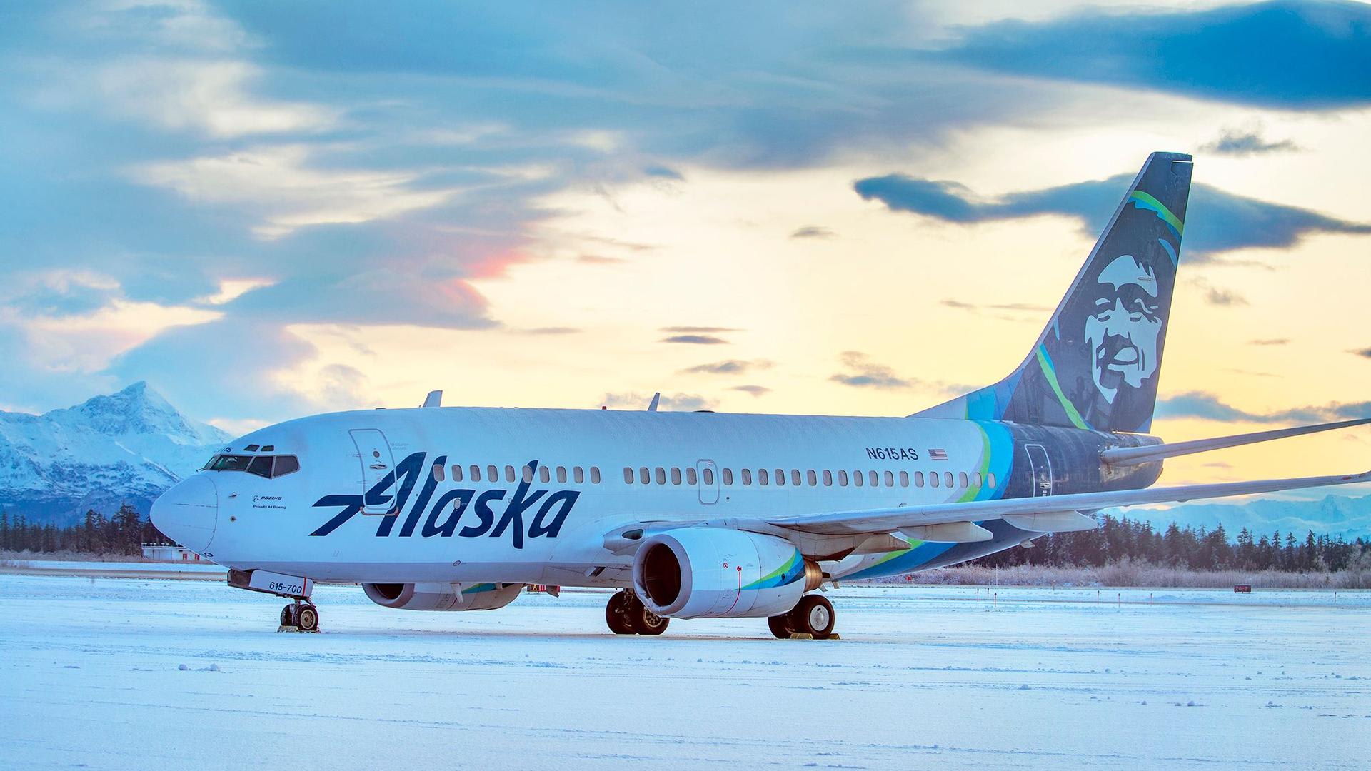 حادث غير متوقع.. طائرة ركاب تصدم دباً على المدرج أثناء الهبوط في ألاسكا